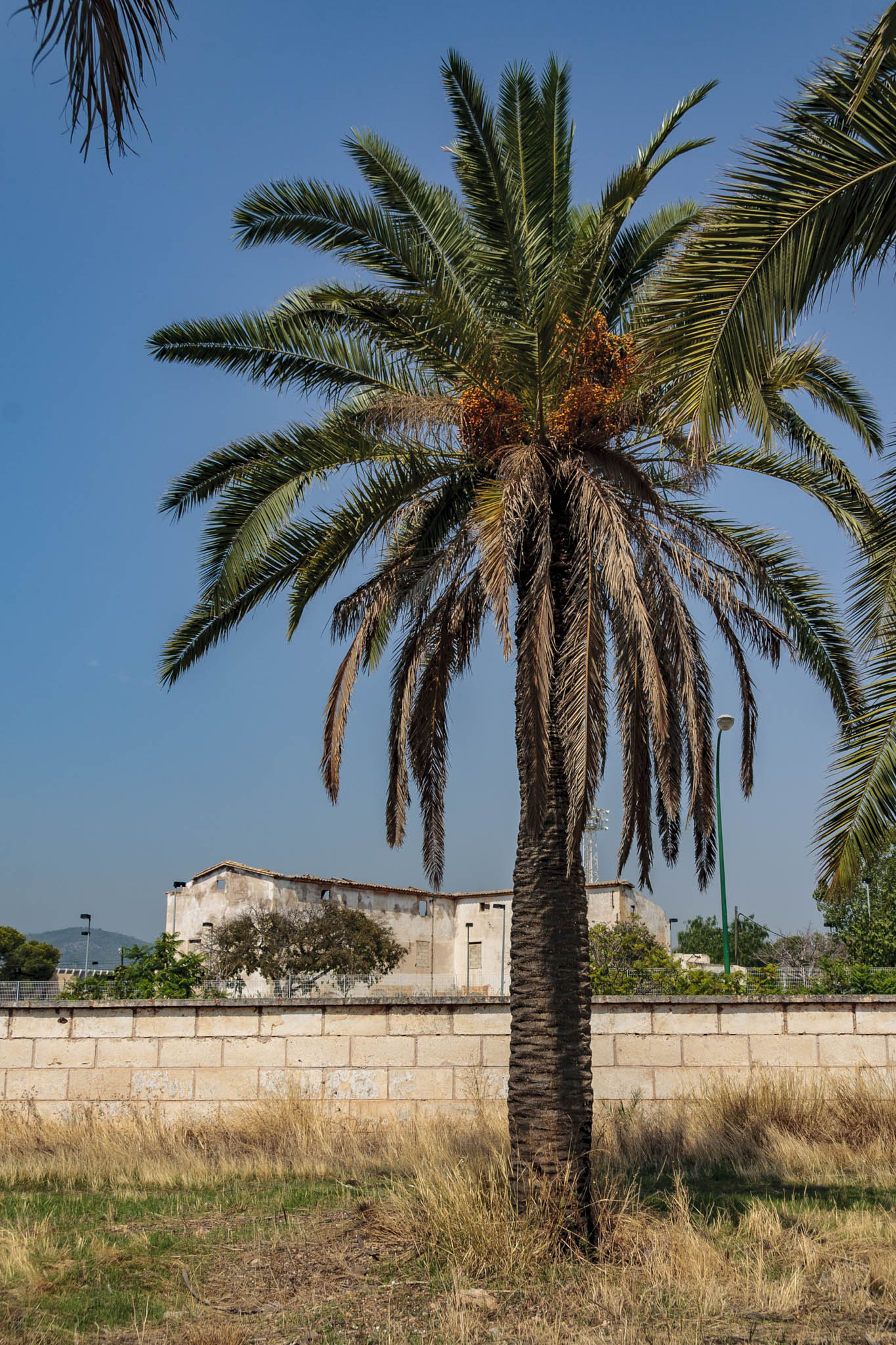 Son Cloquell i la Taverneta de Jesús