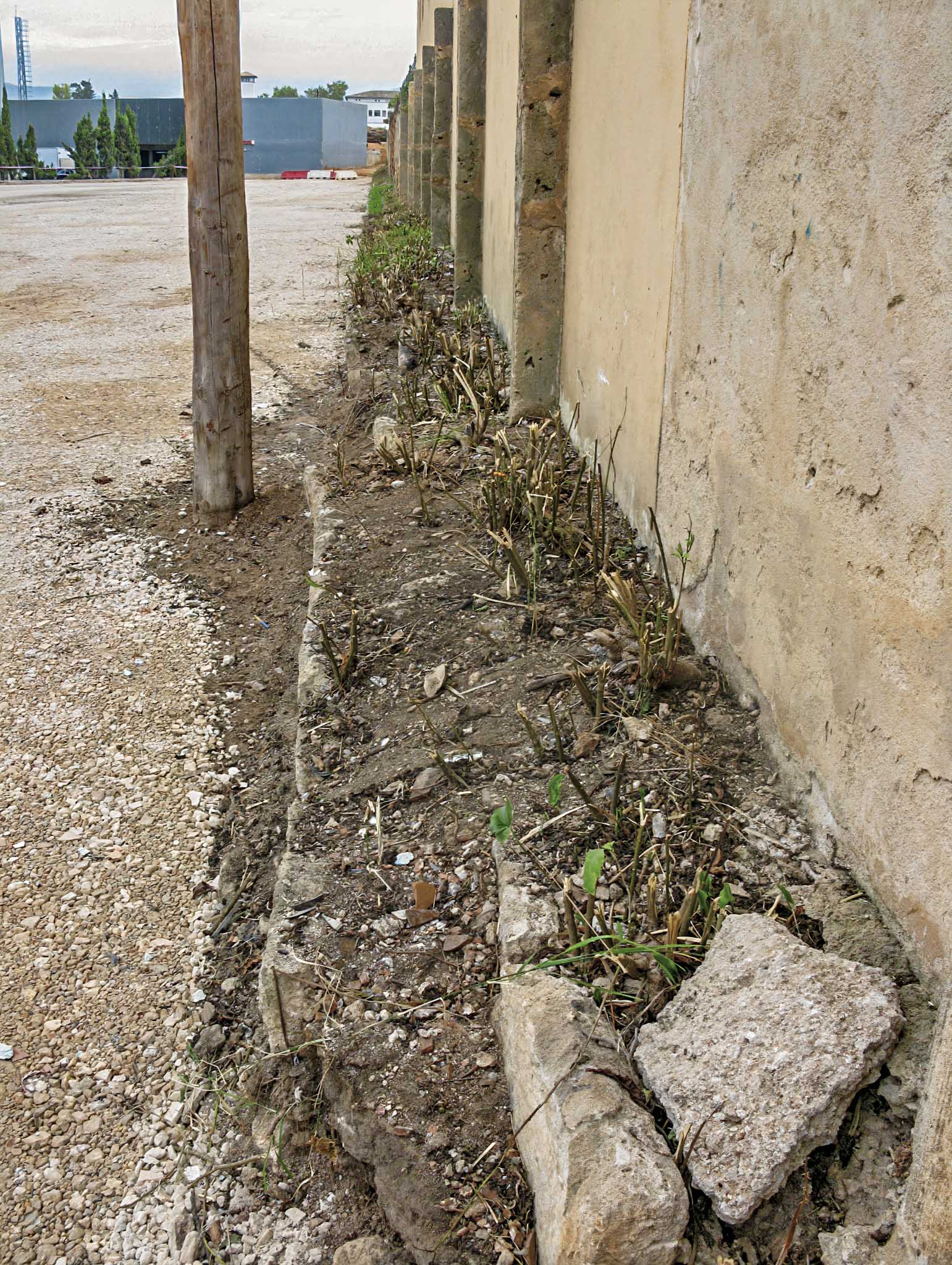 Son Cloquell i la Taverneta de Jesús