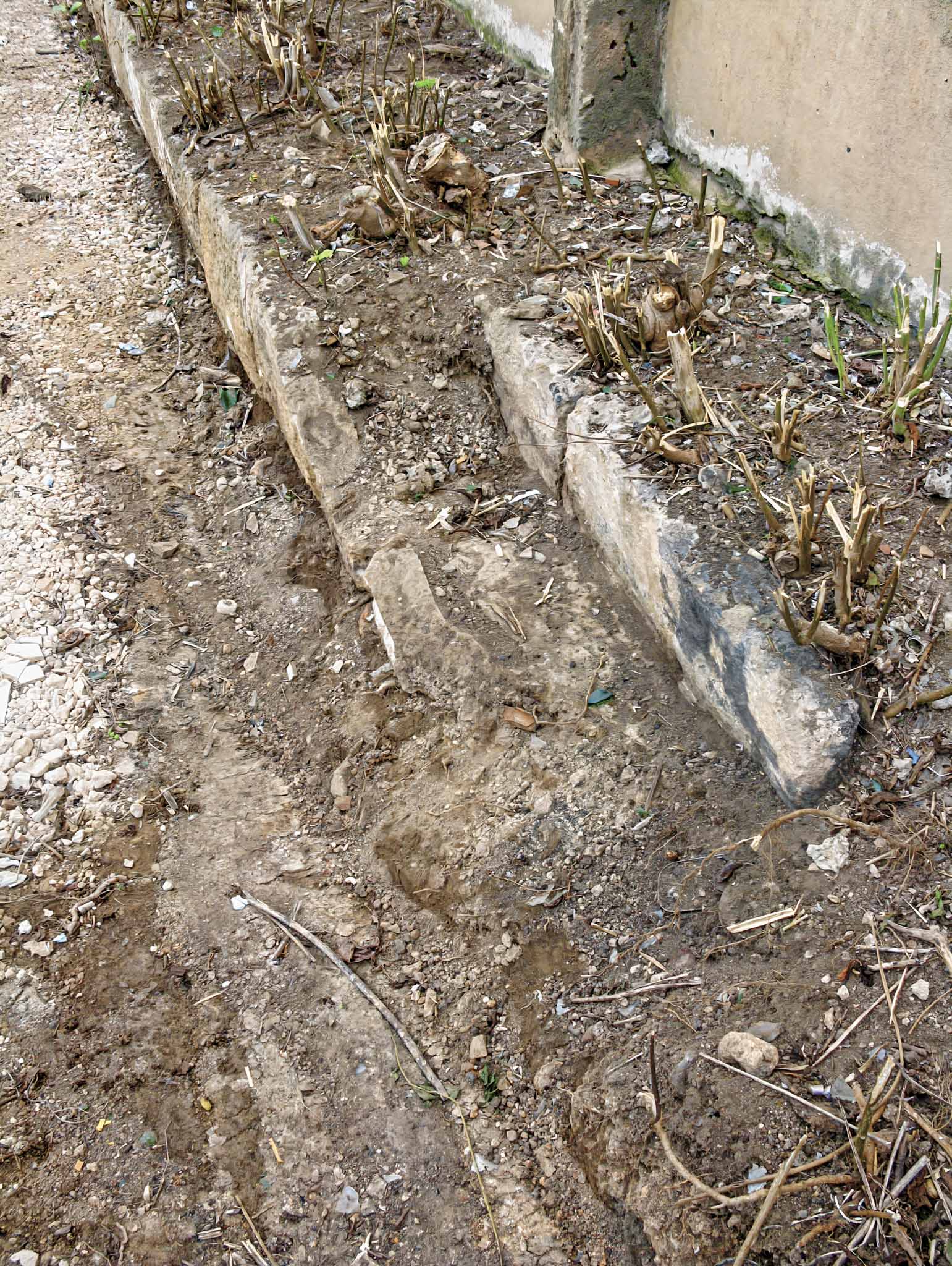 Son Cloquell i la Taverneta de Jesús