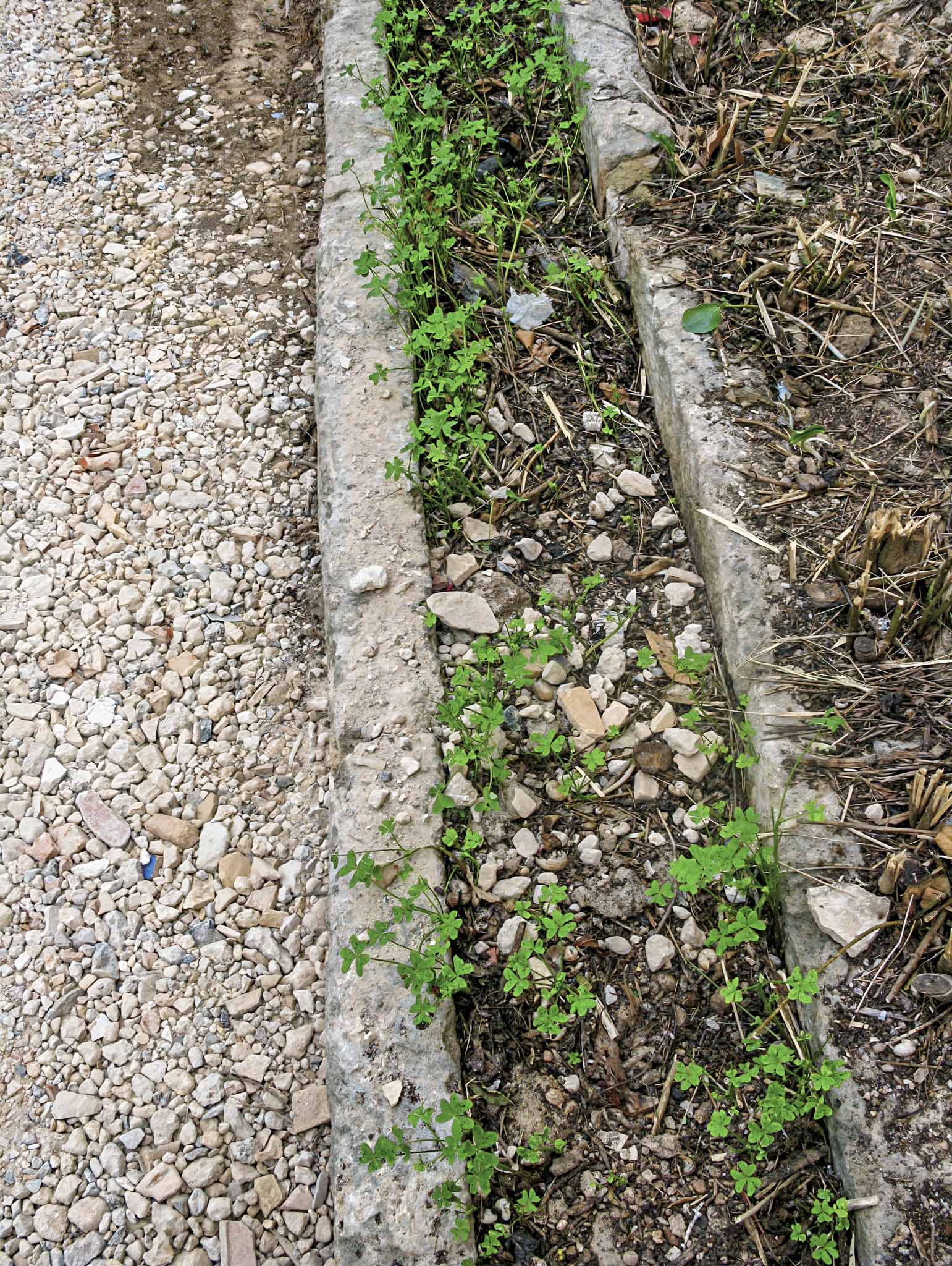 Son Cloquell i la Taverneta de Jesús