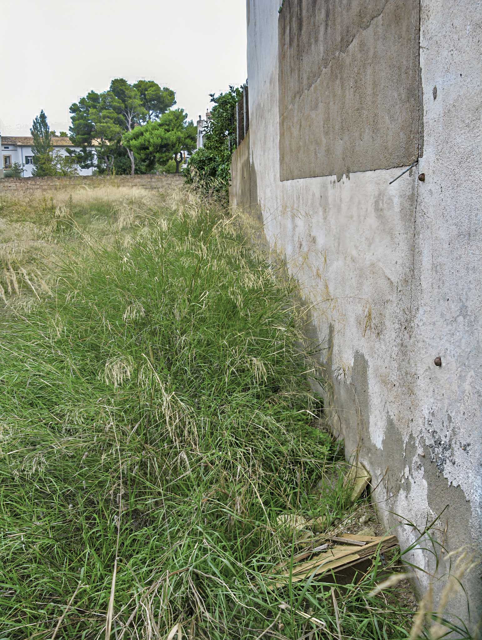 Son Cloquell i la Taverneta de Jesús
