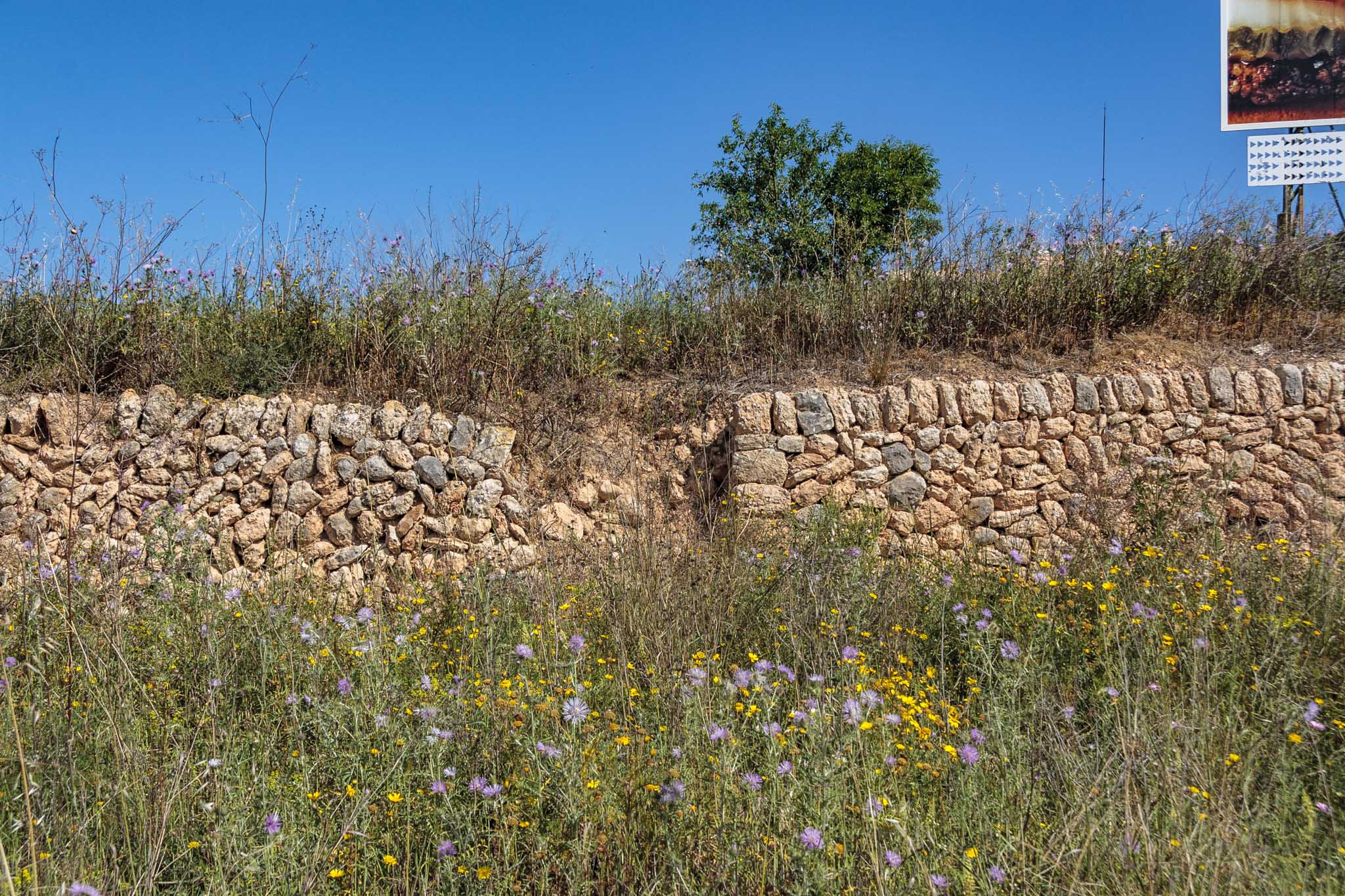 Son Príam, Son Príam Villalonga, Can Angelí