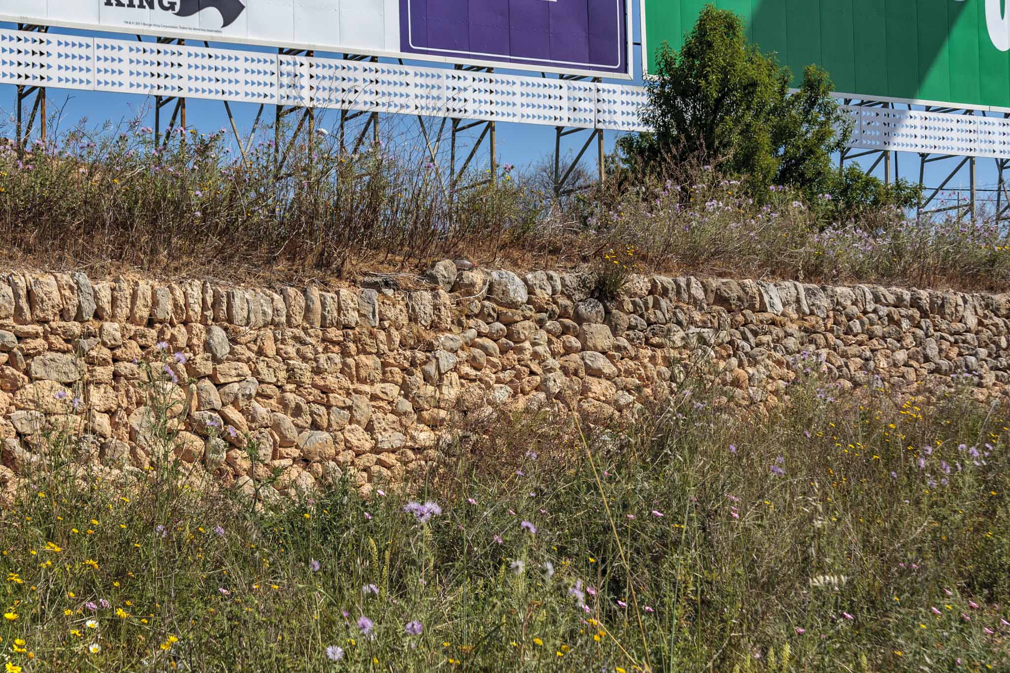 Son Príam, Son Príam Villalonga, Can Angelí