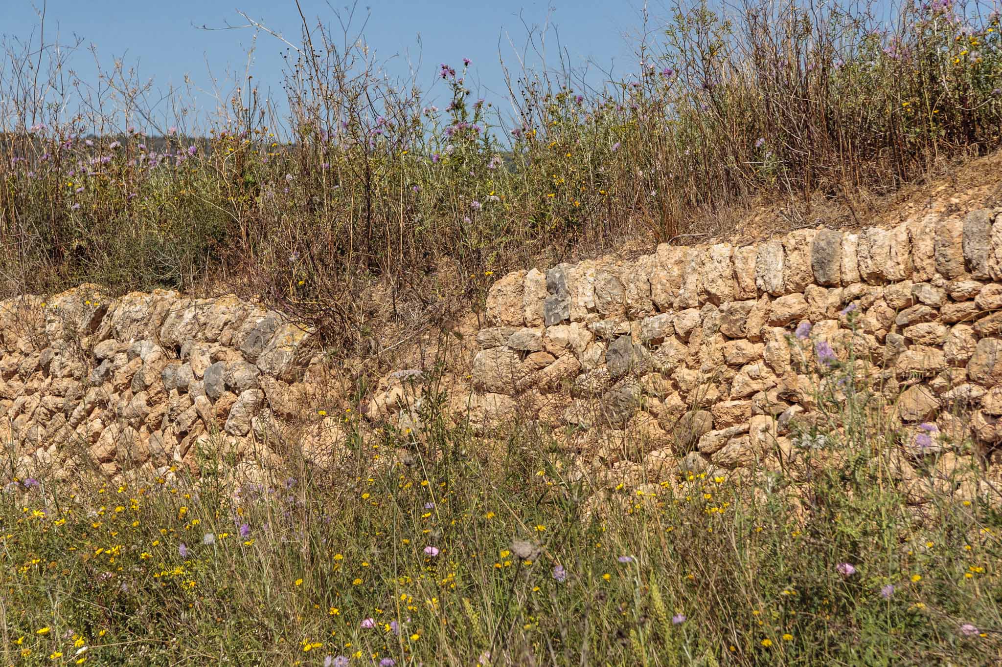 Son Príam, Son Príam Villalonga, Can Angelí