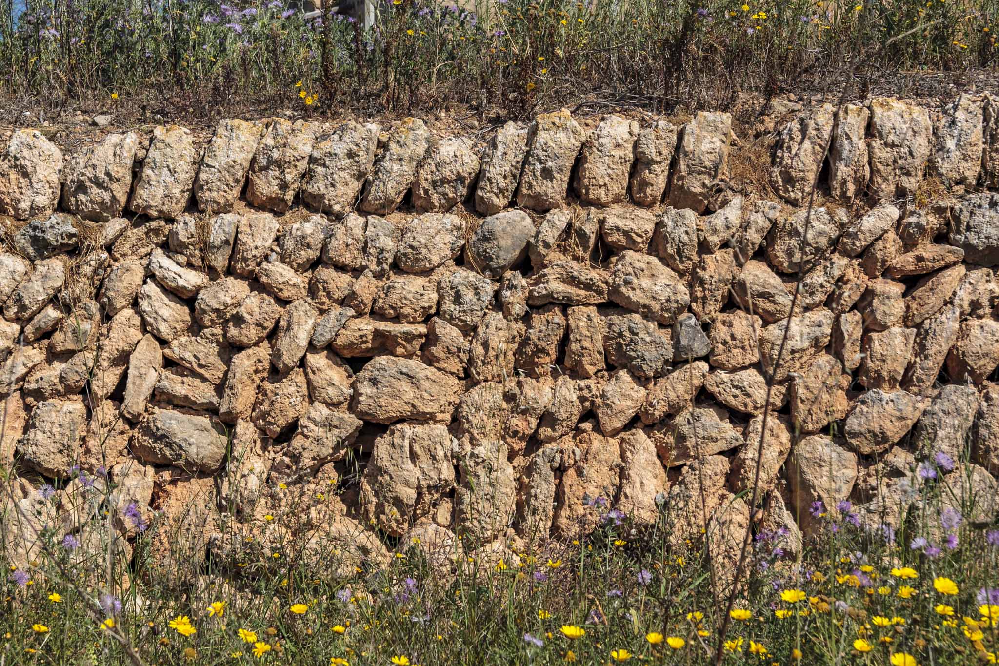 Son Príam, Son Príam Villalonga, Can Angelí