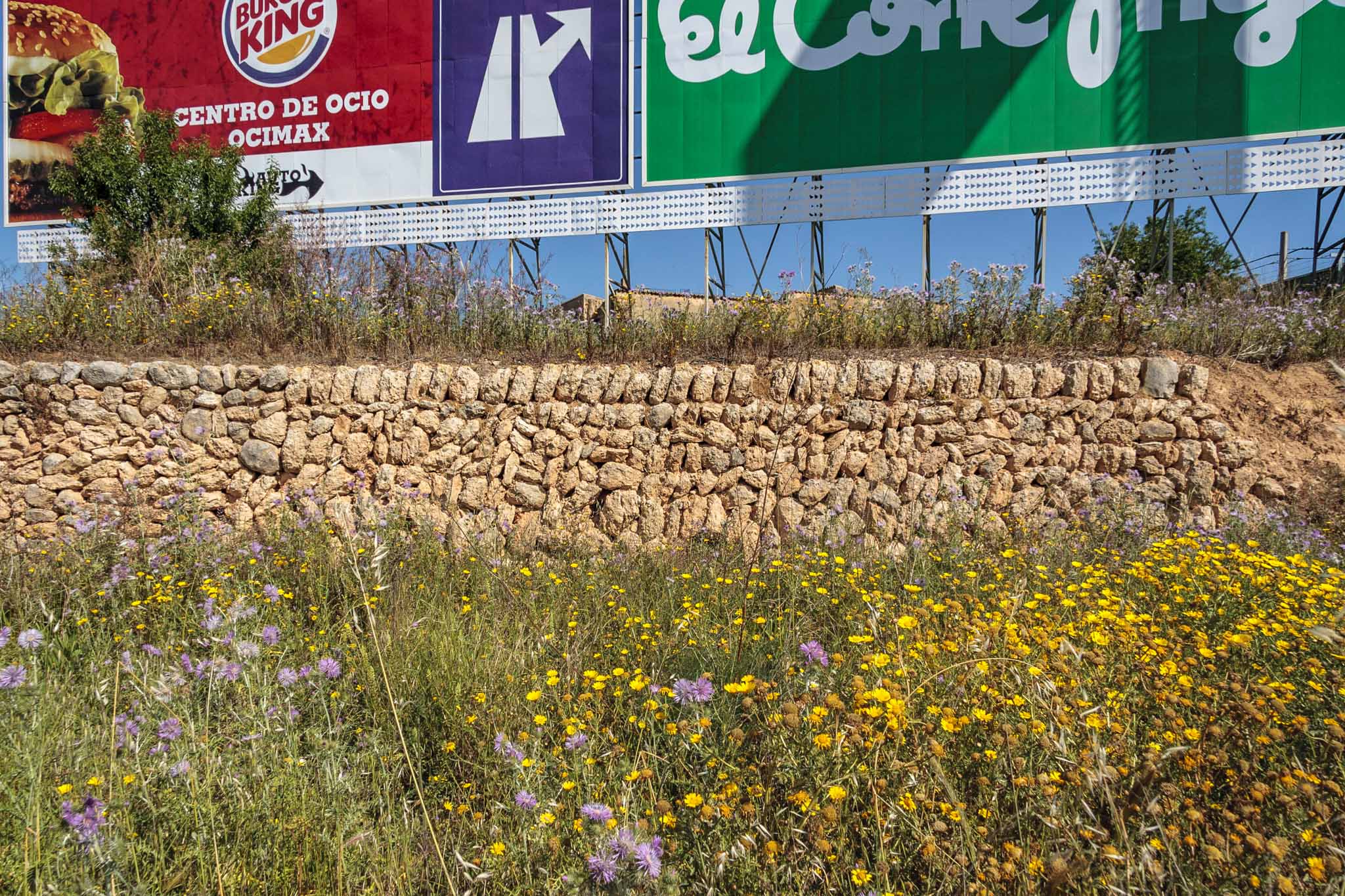 Son Príam, Son Príam Villalonga, Can Angelí