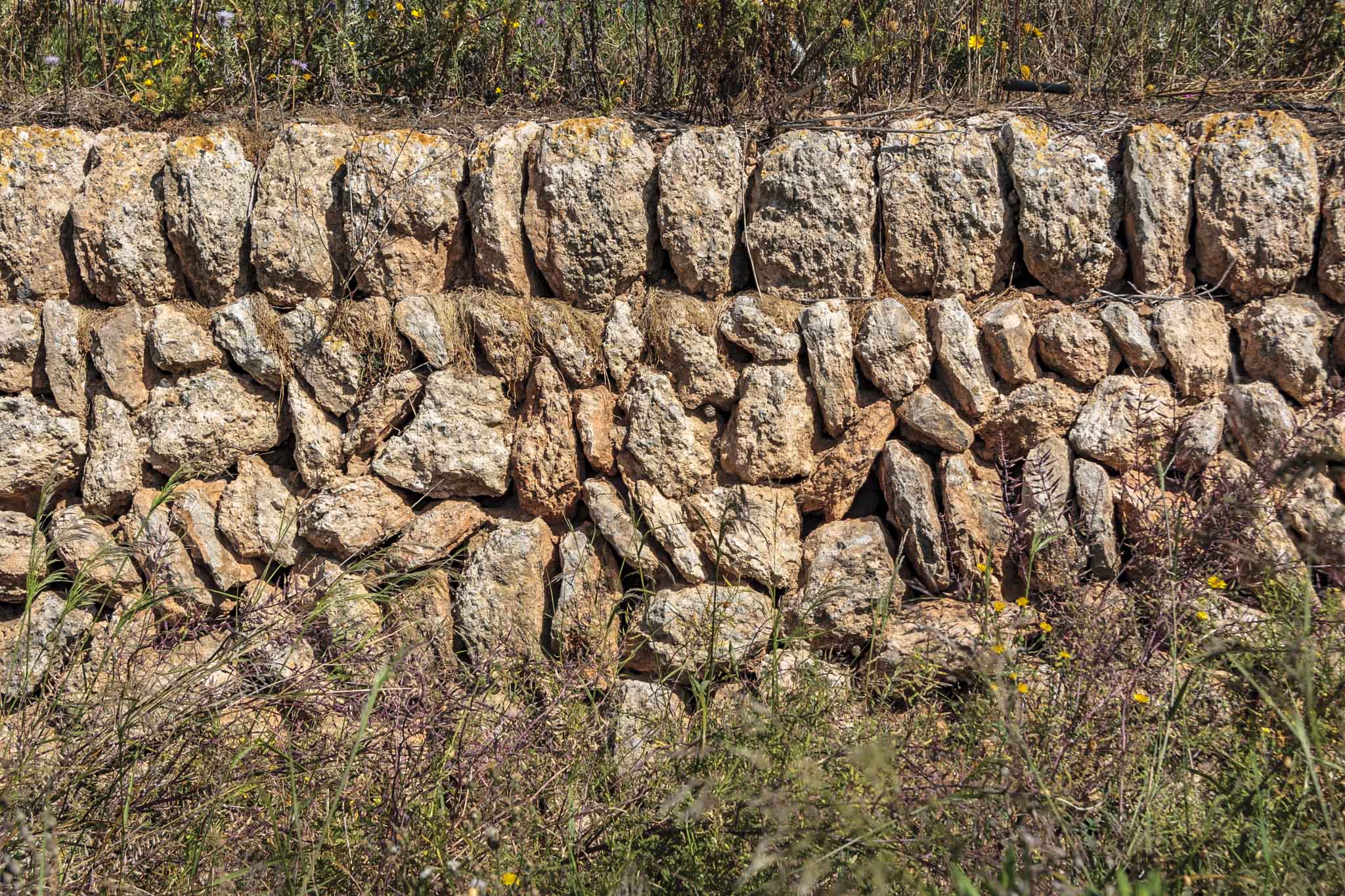 Son Príam, Son Príam Villalonga, Can Angelí