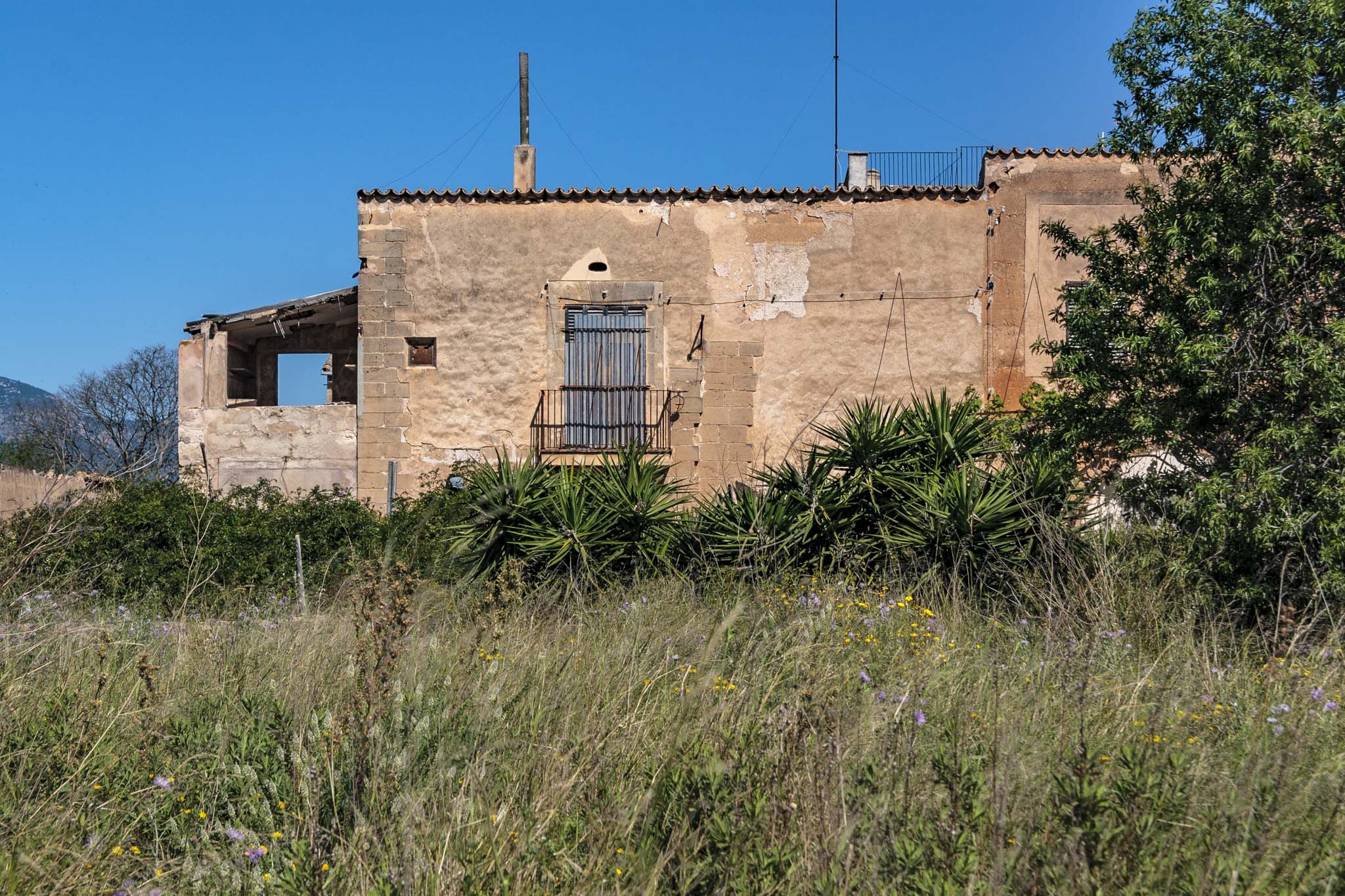 Son Príam, Son Príam Villalonga, Can Angelí