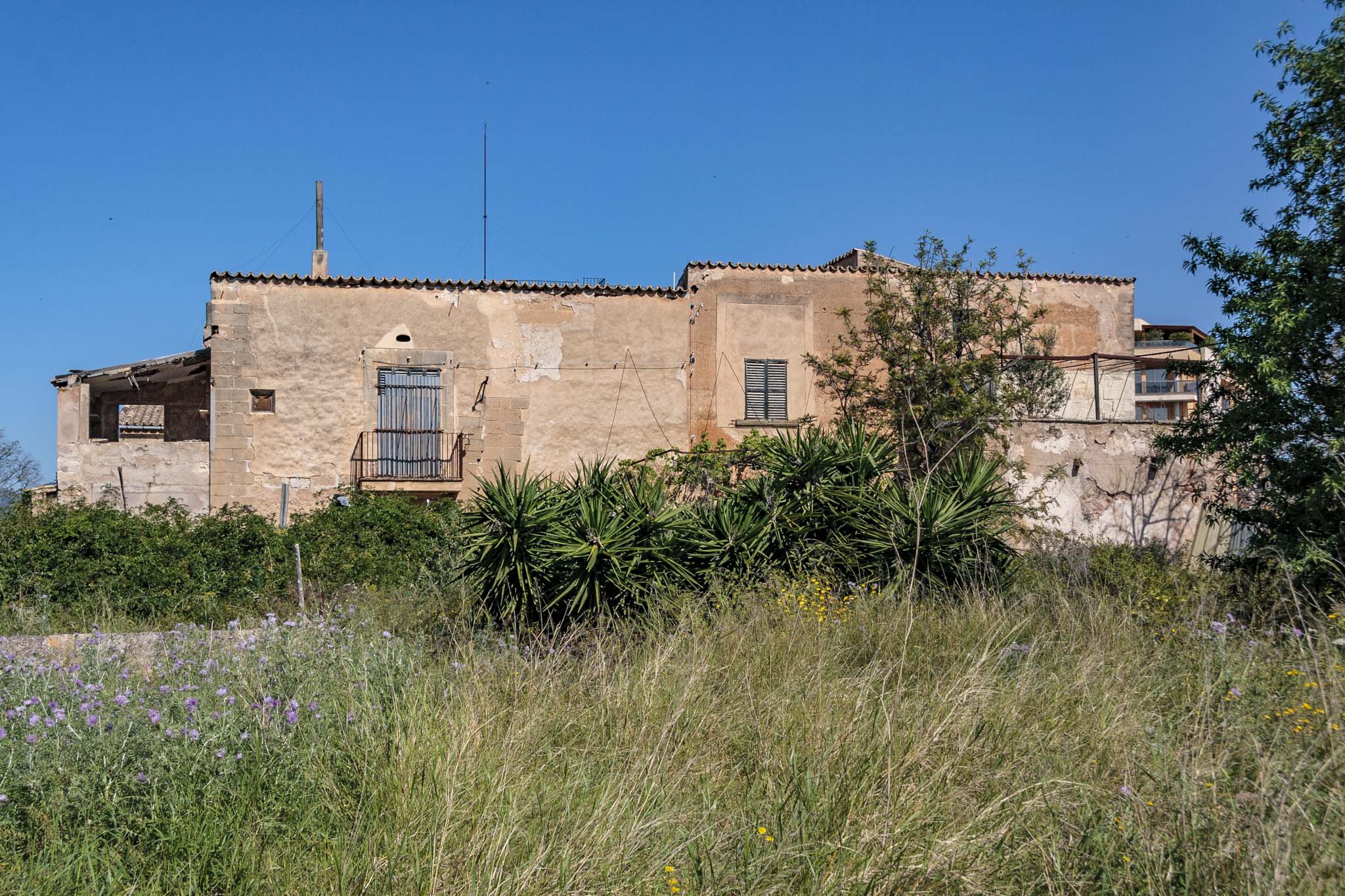 Son Príam, Son Príam Villalonga, Can Angelí