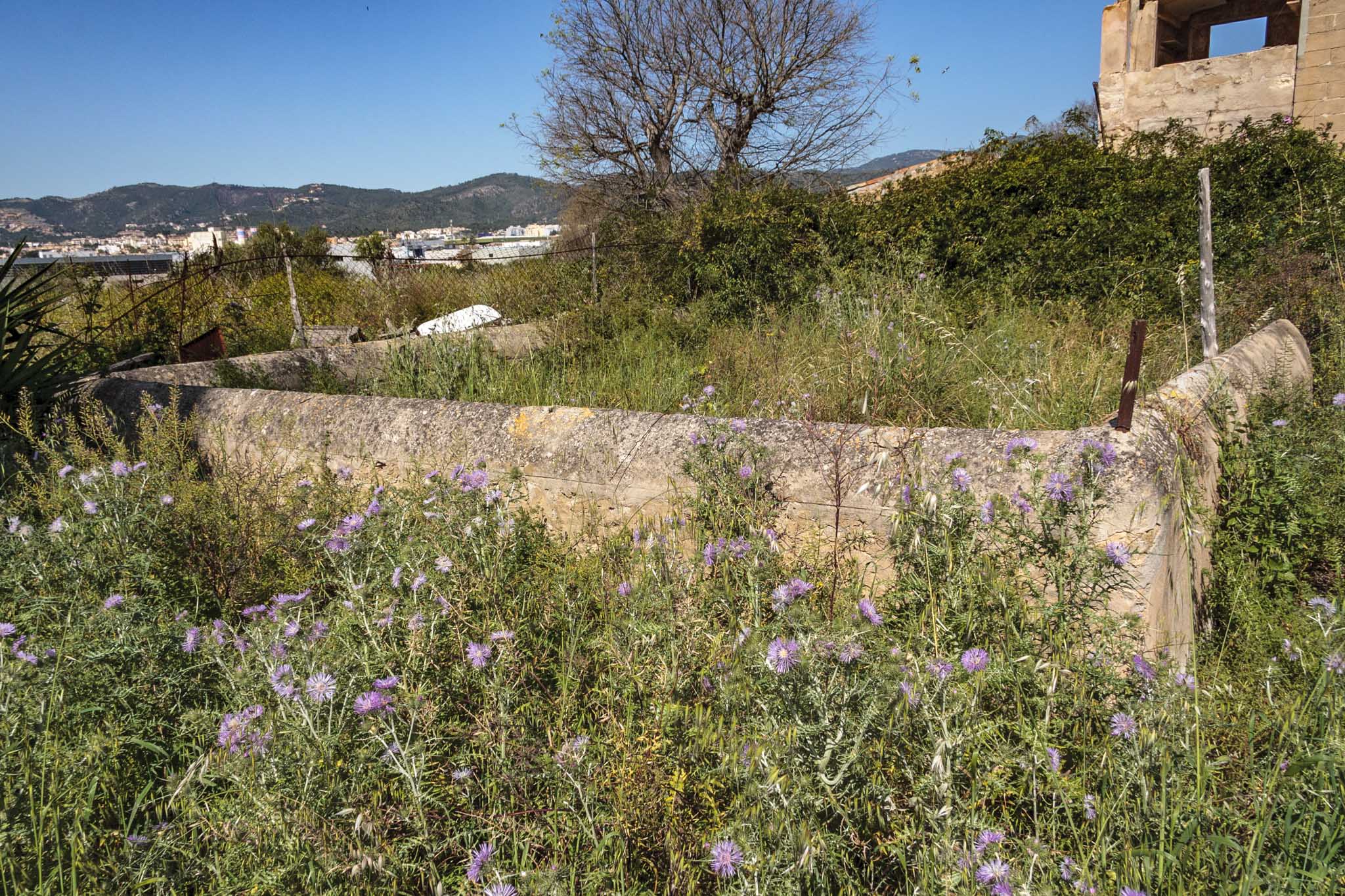 Son Príam, Son Príam Villalonga, Can Angelí