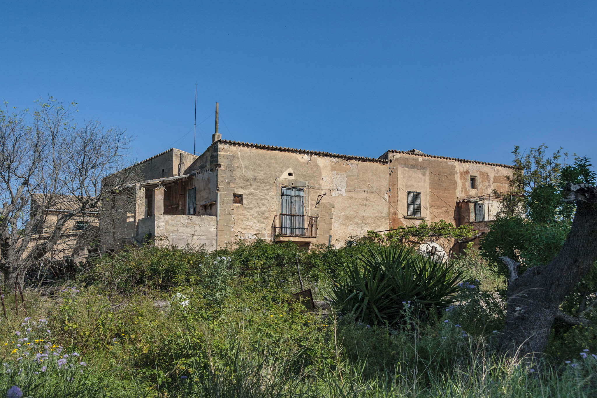 Son Príam, Son Príam Villalonga, Can Angelí