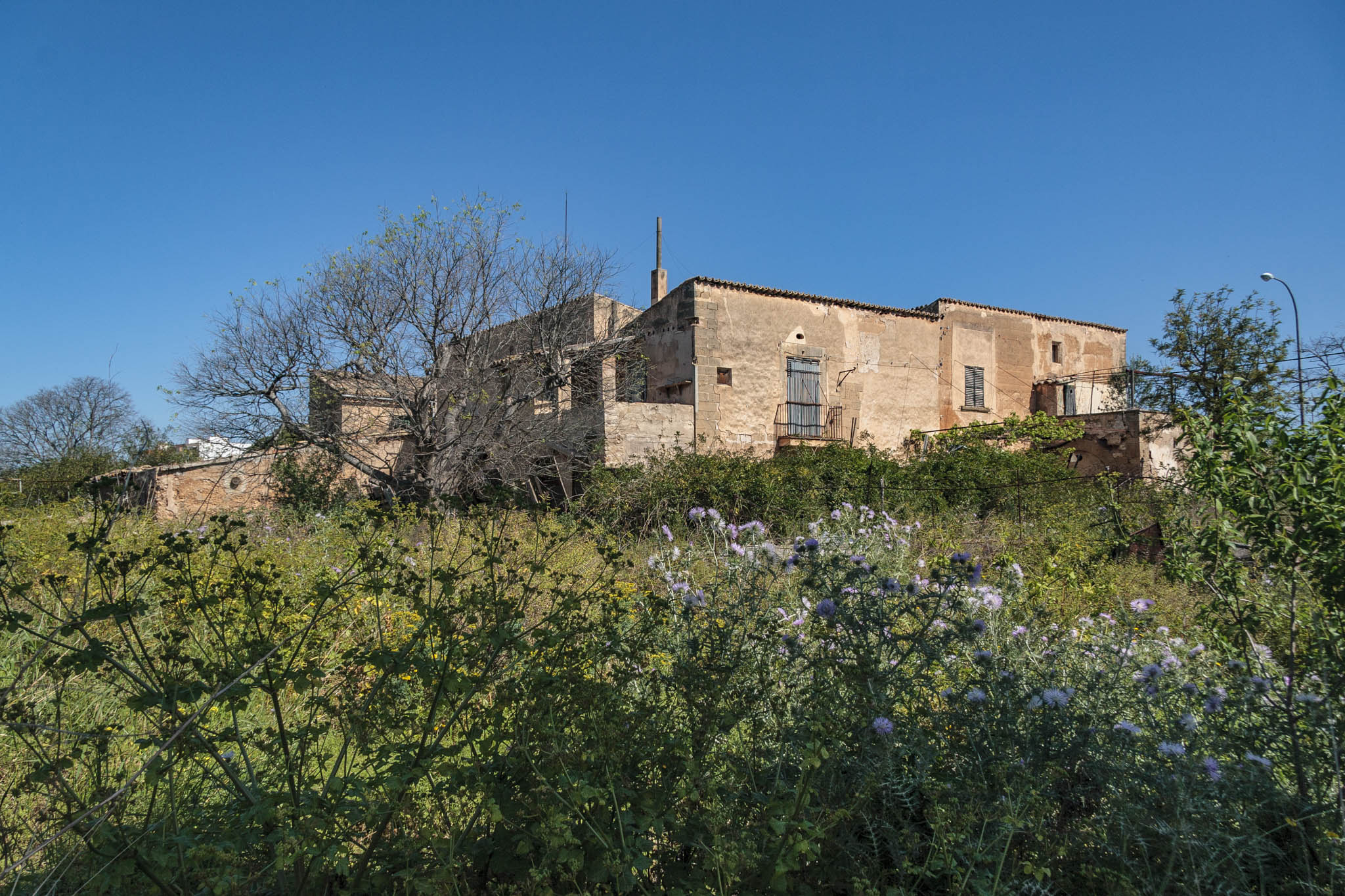 Son Príam, Son Príam Villalonga, Can Angelí