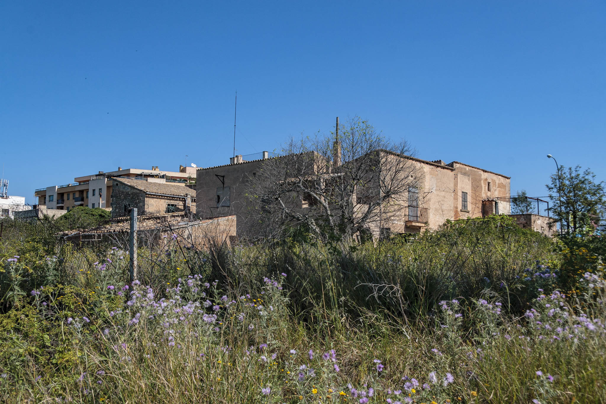 Son Príam, Son Príam Villalonga, Can Angelí