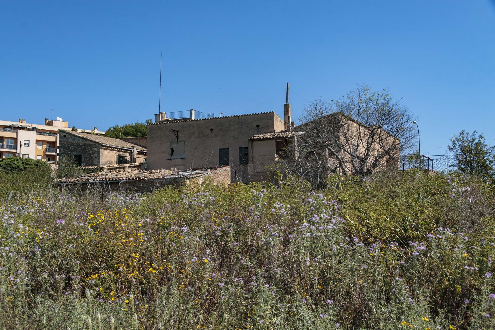 Son Príam, Son Príam Villalonga, Can Angelí