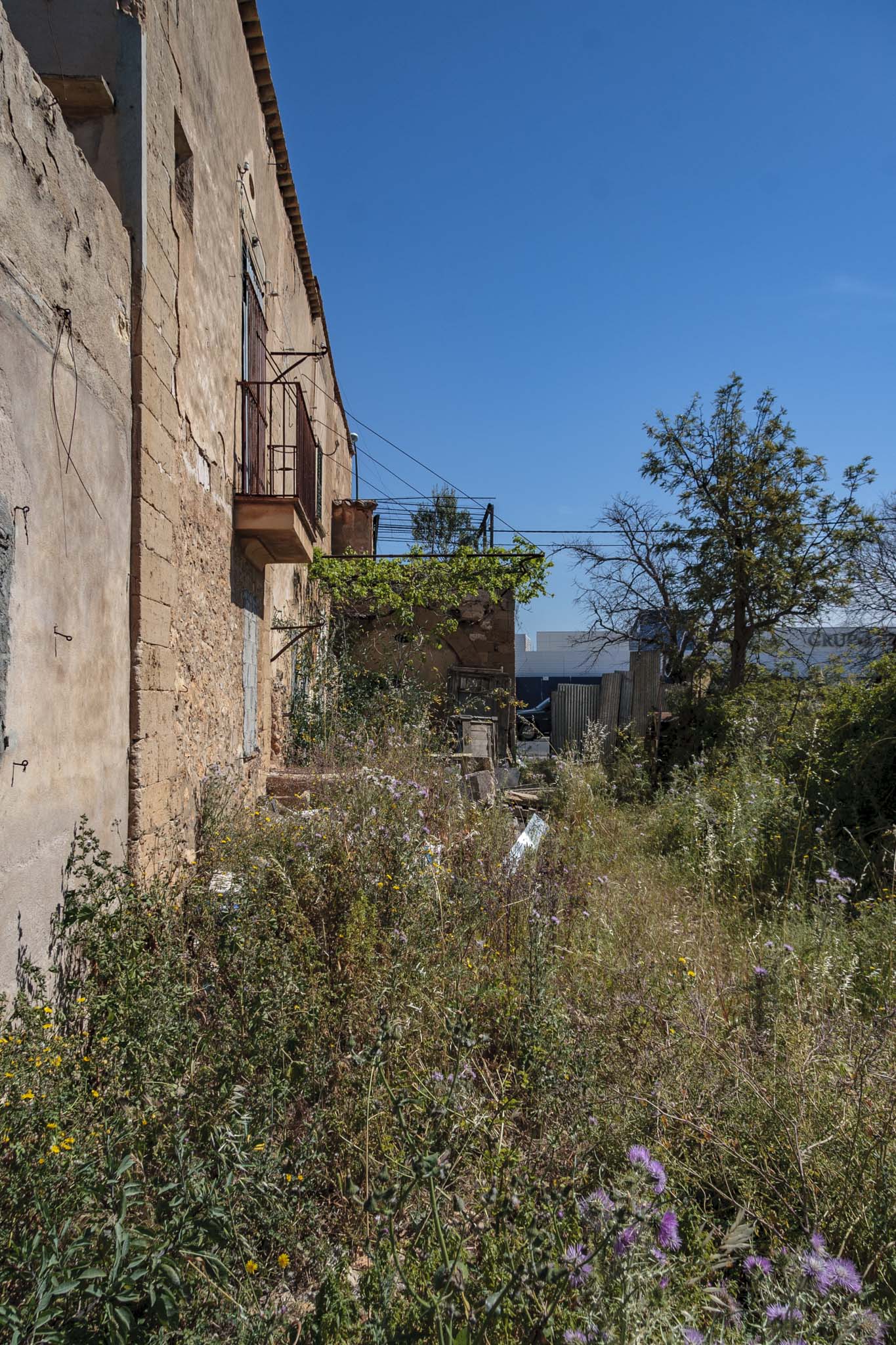 Son Príam, Son Príam Villalonga, Can Angelí