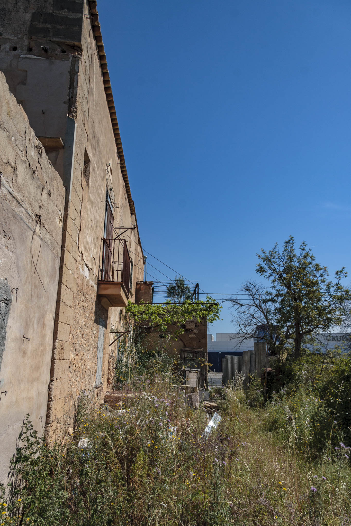 Son Príam, Son Príam Villalonga, Can Angelí