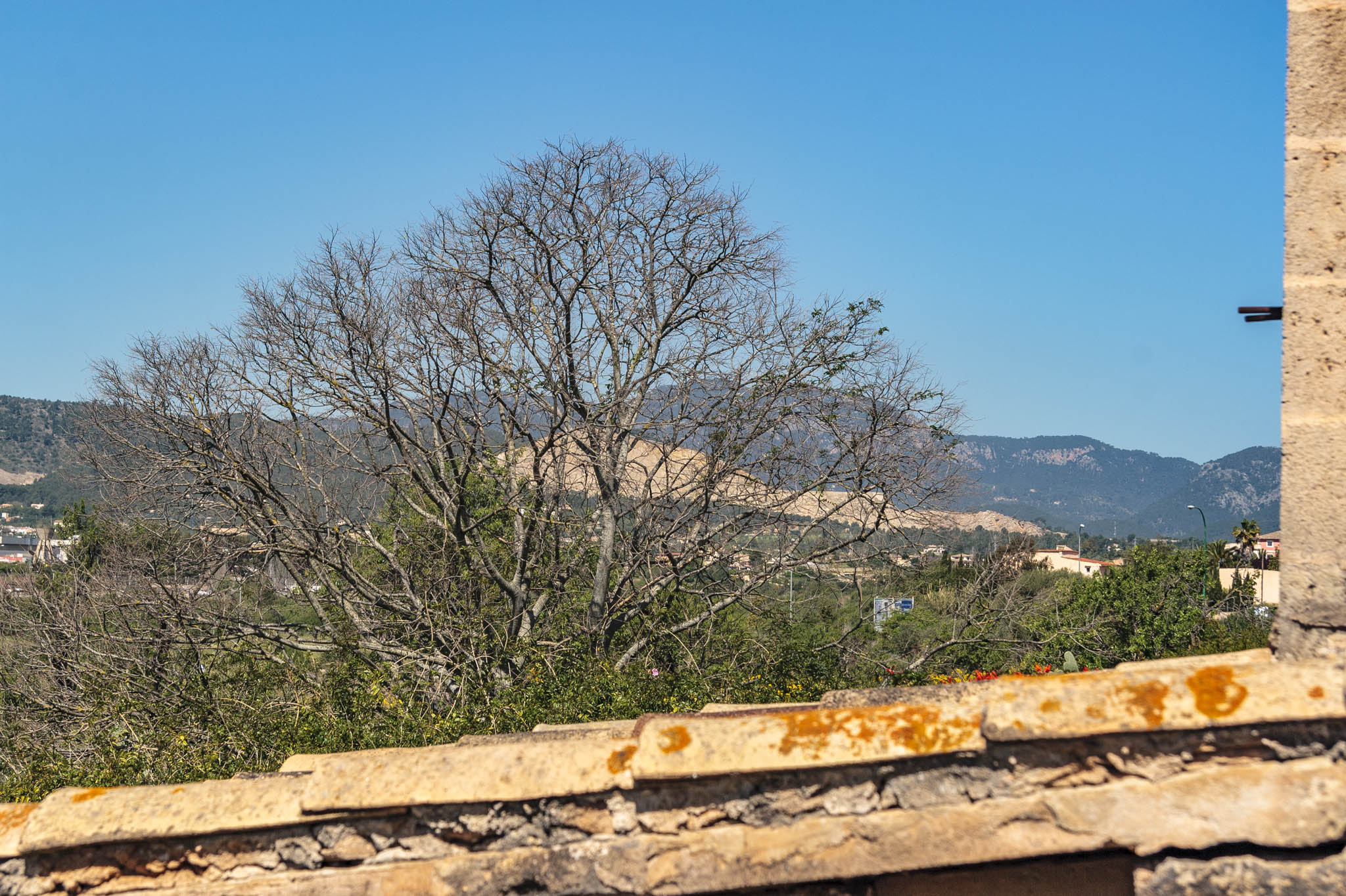 Son Príam, Son Príam Villalonga, Can Angelí