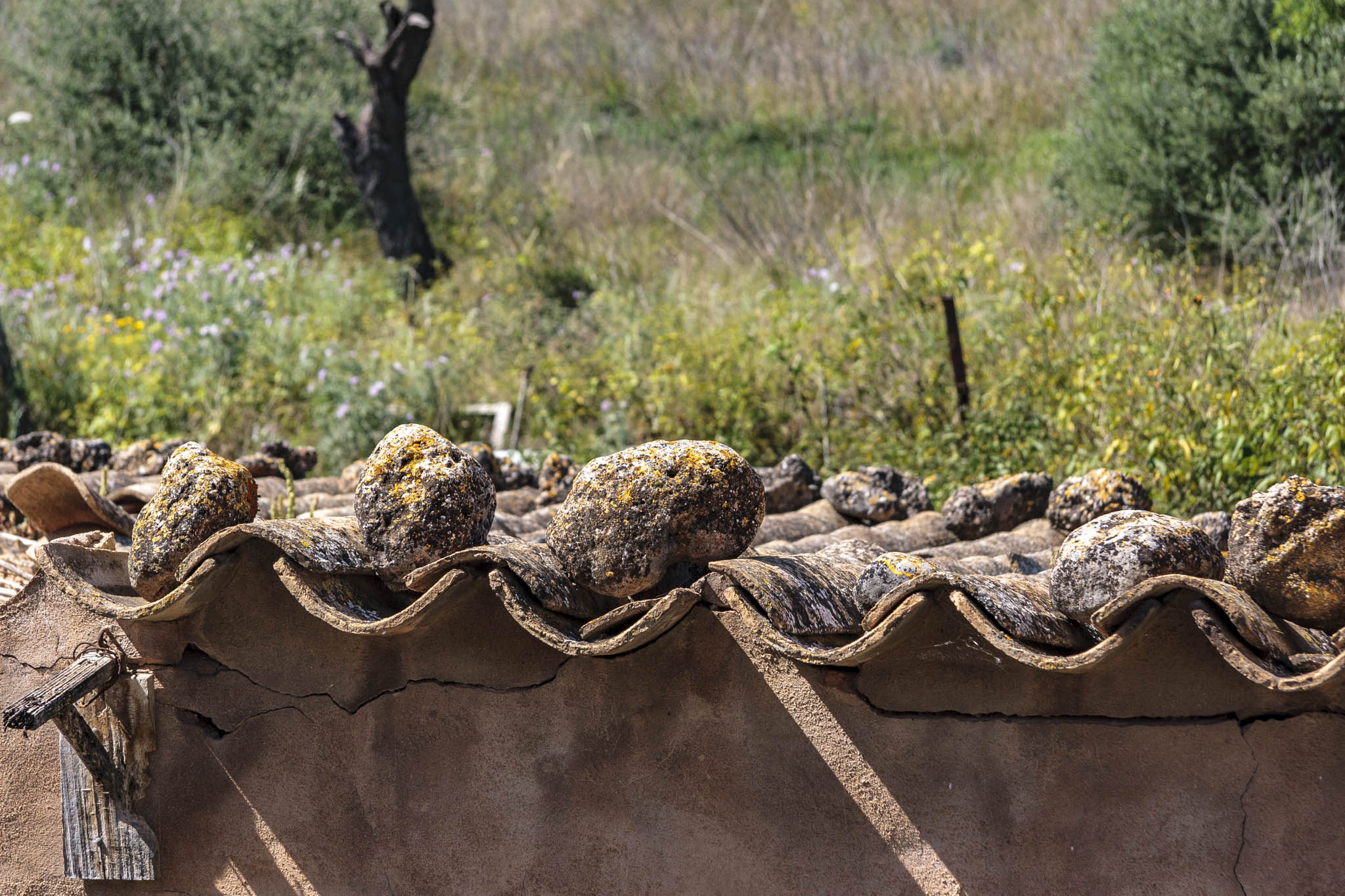 Son Príam, Son Príam Villalonga, Can Angelí