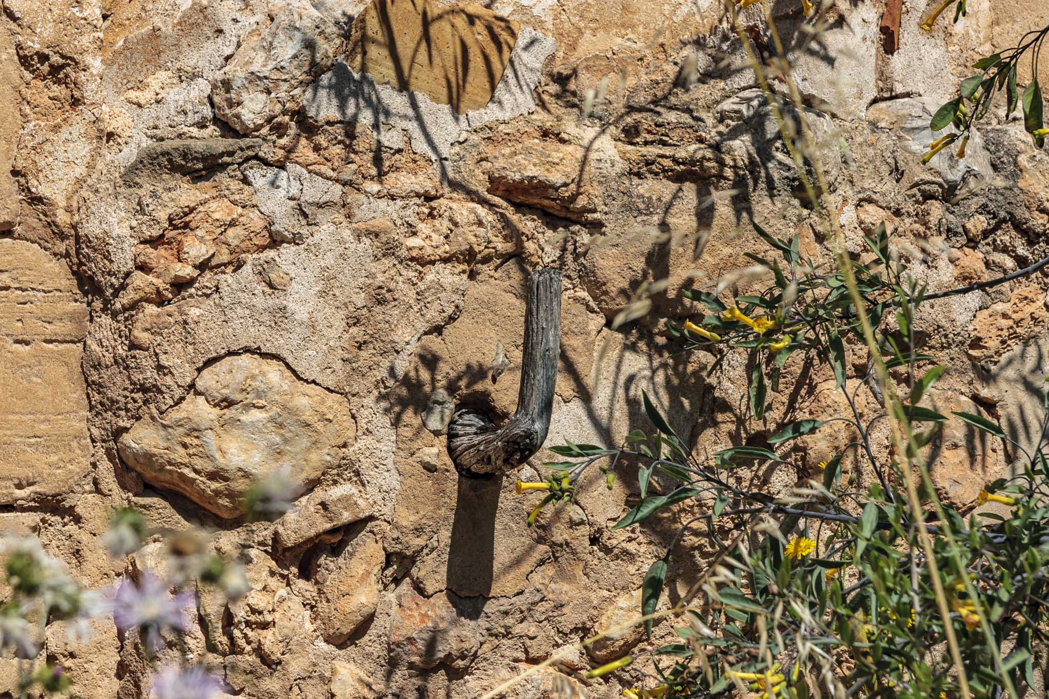 Son Príam, Son Príam Villalonga, Can Angelí