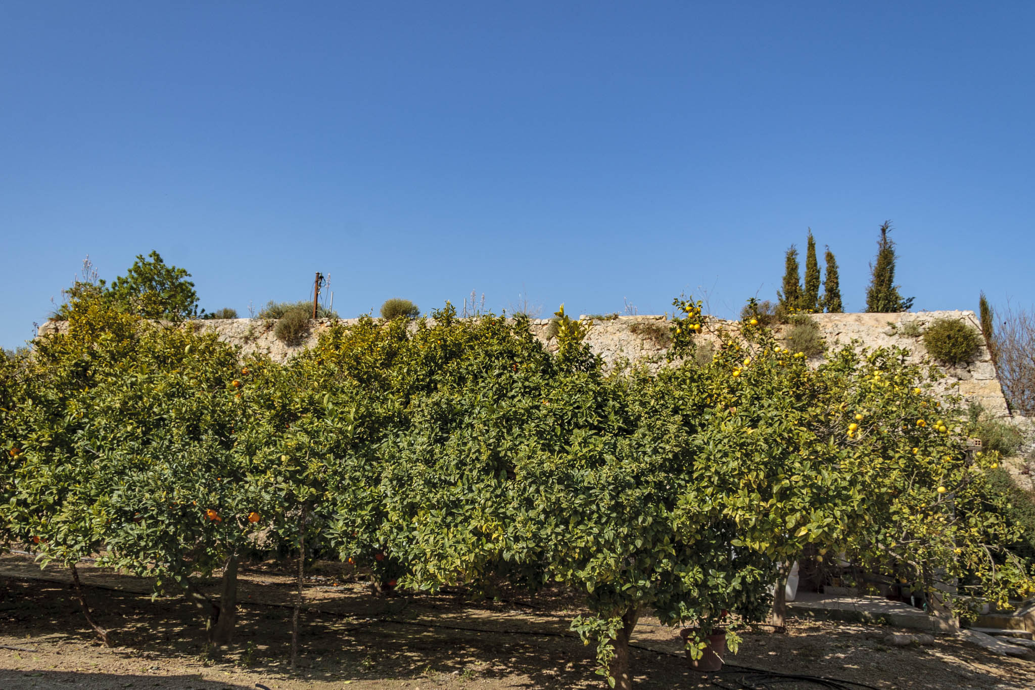 Son Anglada, Rahal Gemila, Biniganella