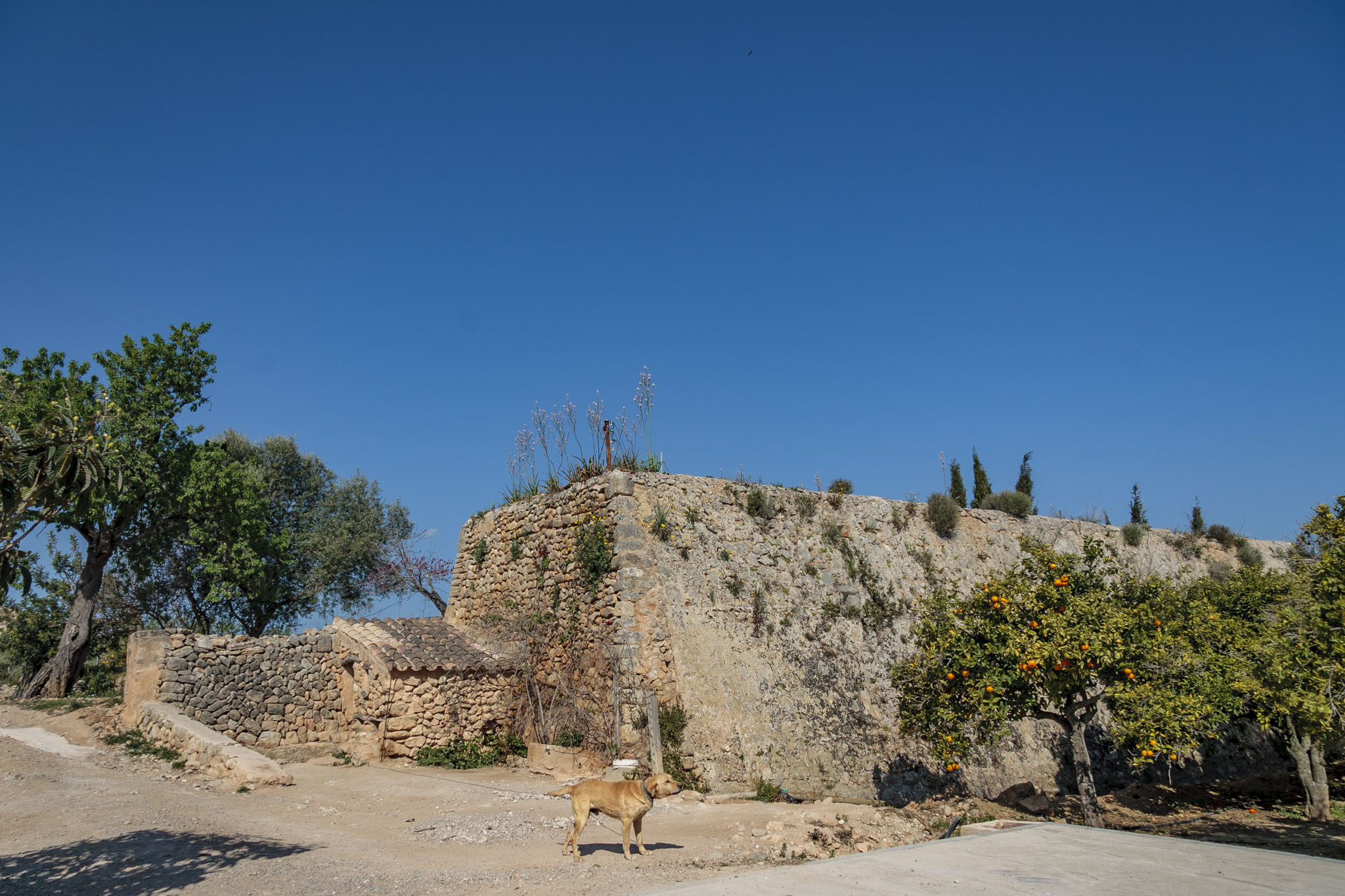 Son Anglada, Rahal Gemila, Biniganella