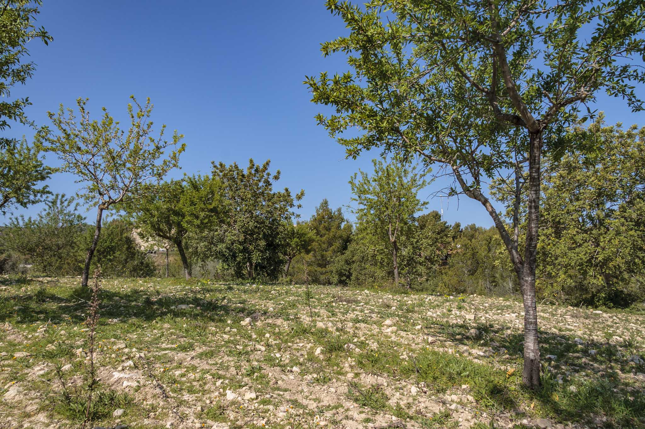 Son Anglada, Rahal Gemila, Biniganella