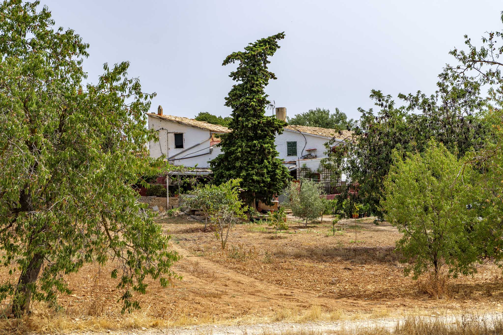 El Galambre