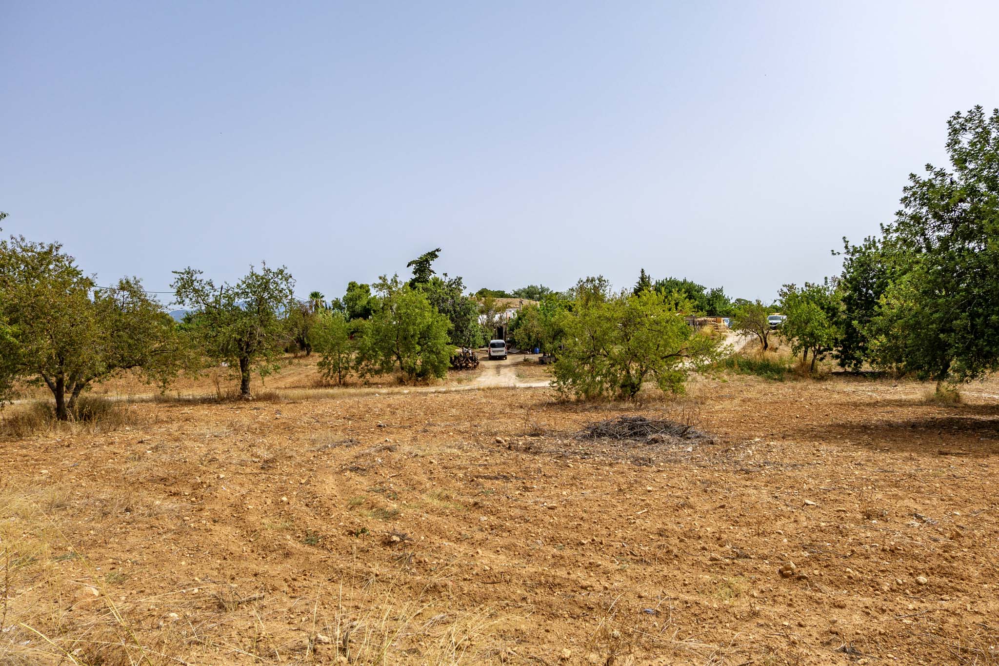 El Galambre