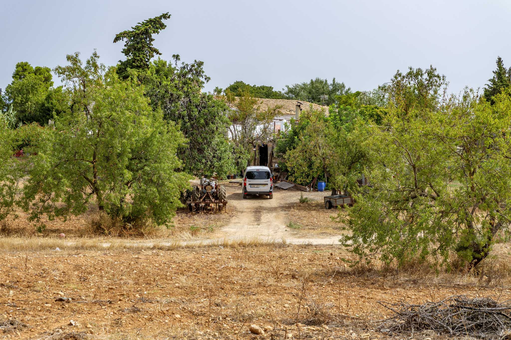 El Galambre