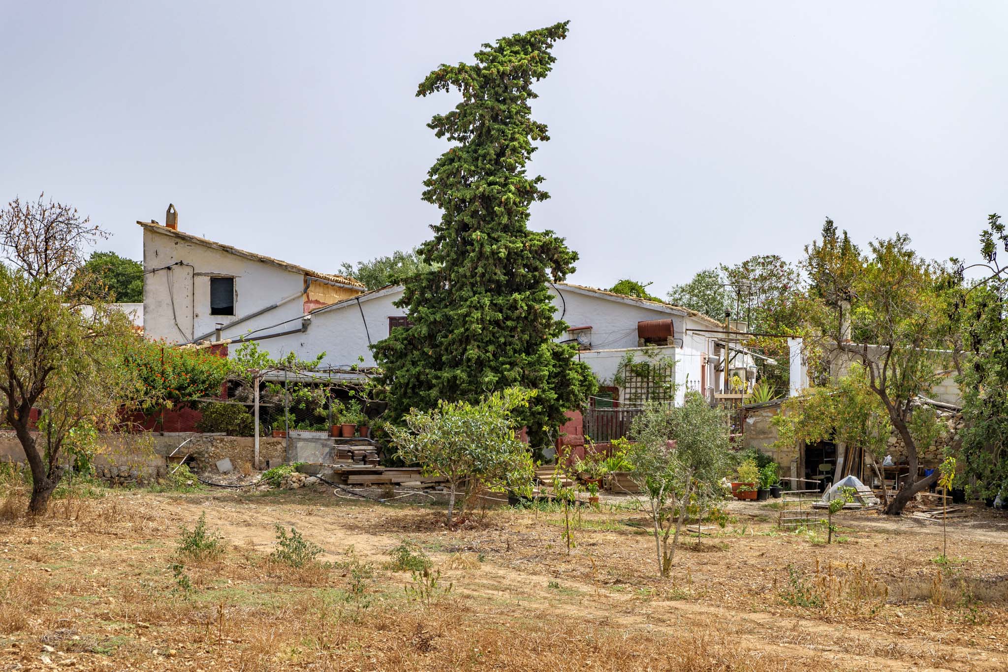 El Galambre