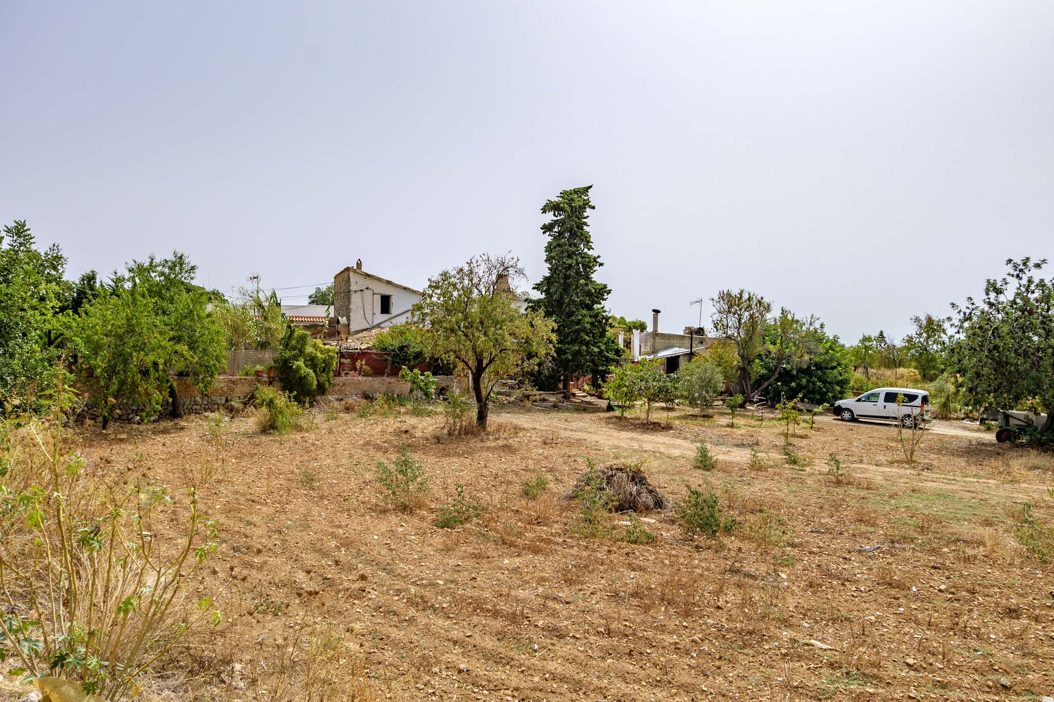 El Galambre