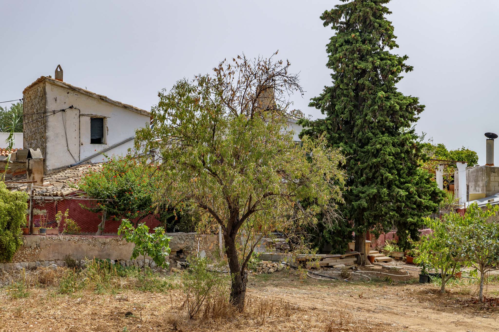 El Galambre