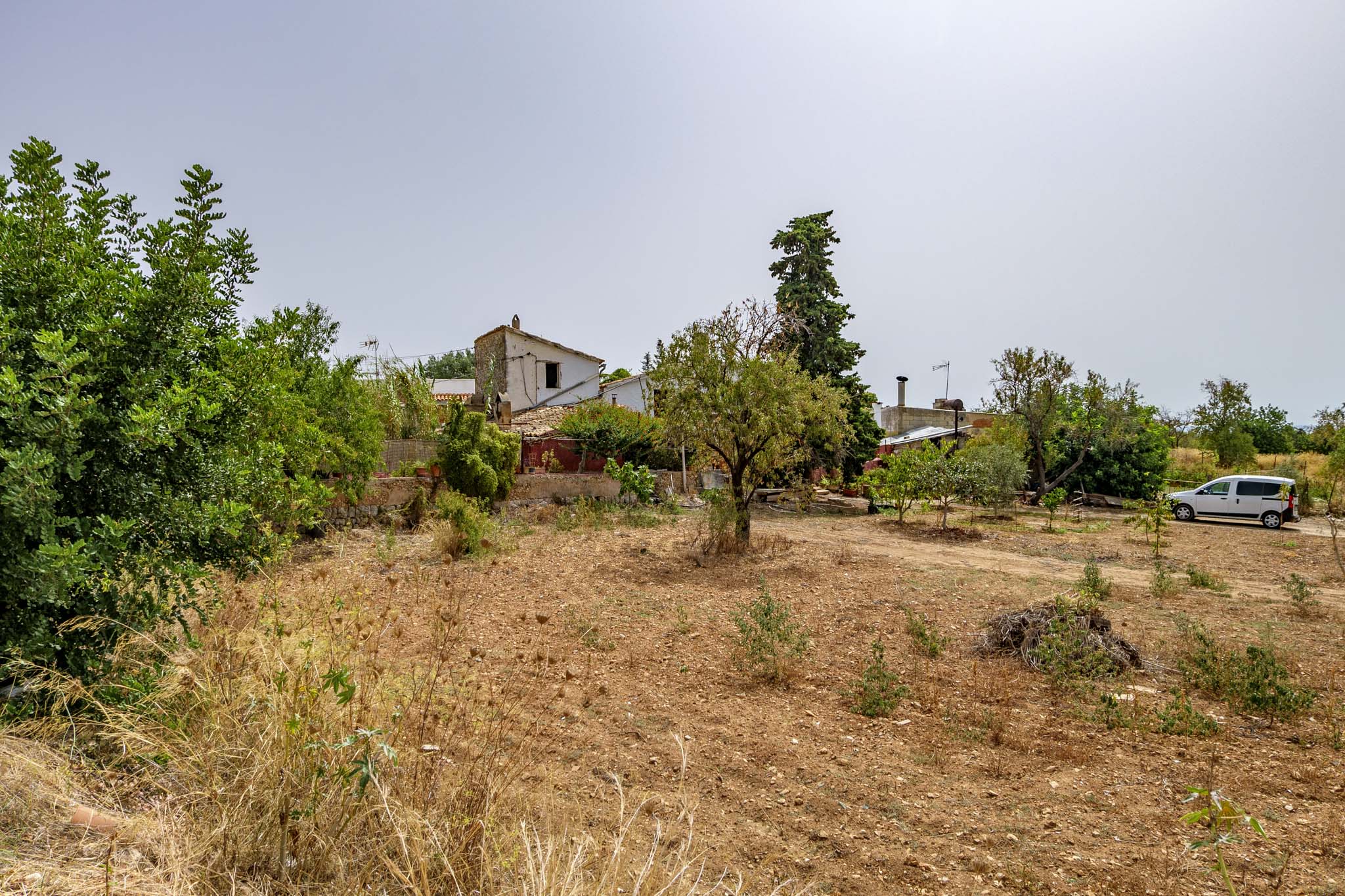El Galambre