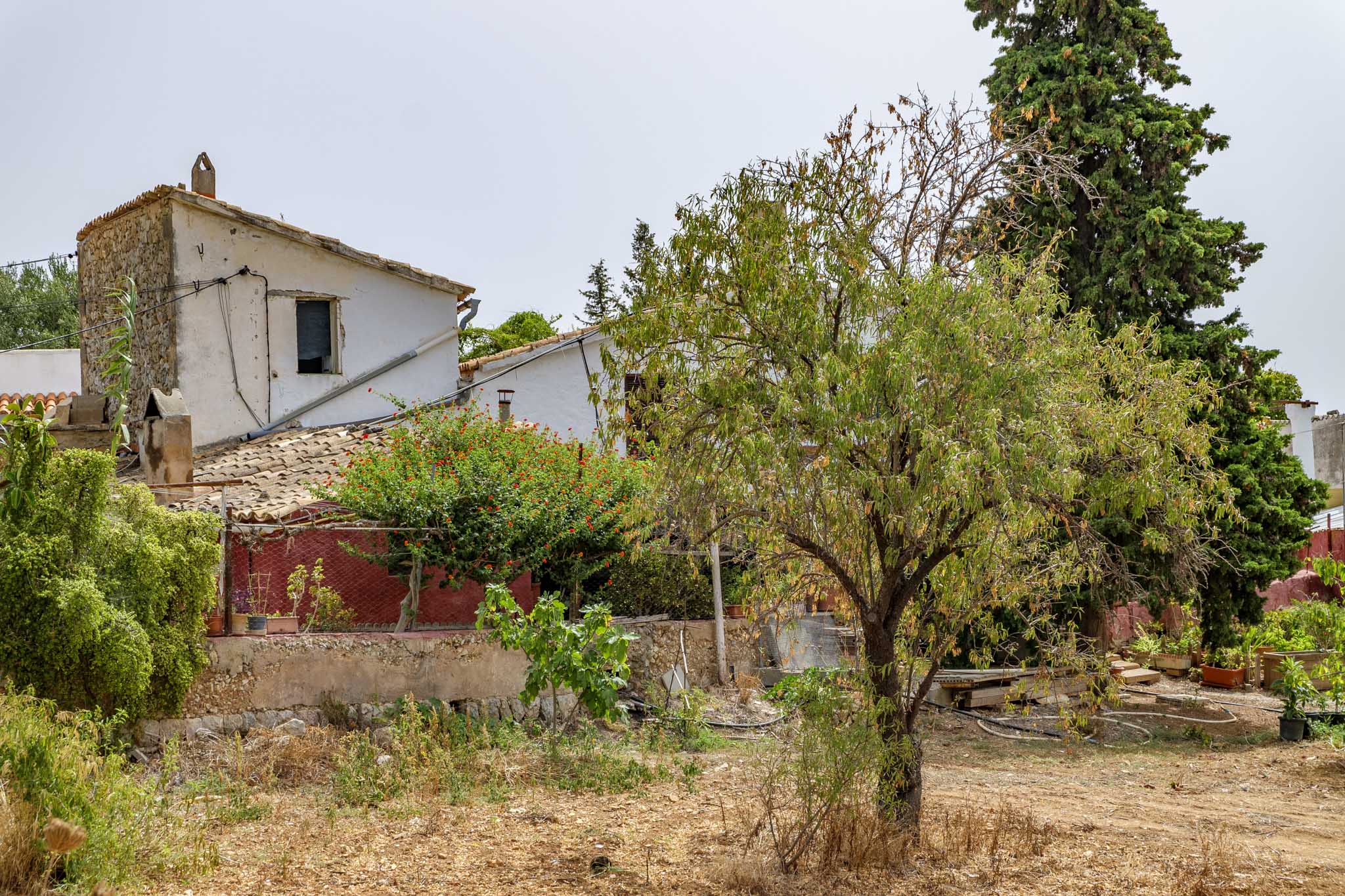 El Galambre