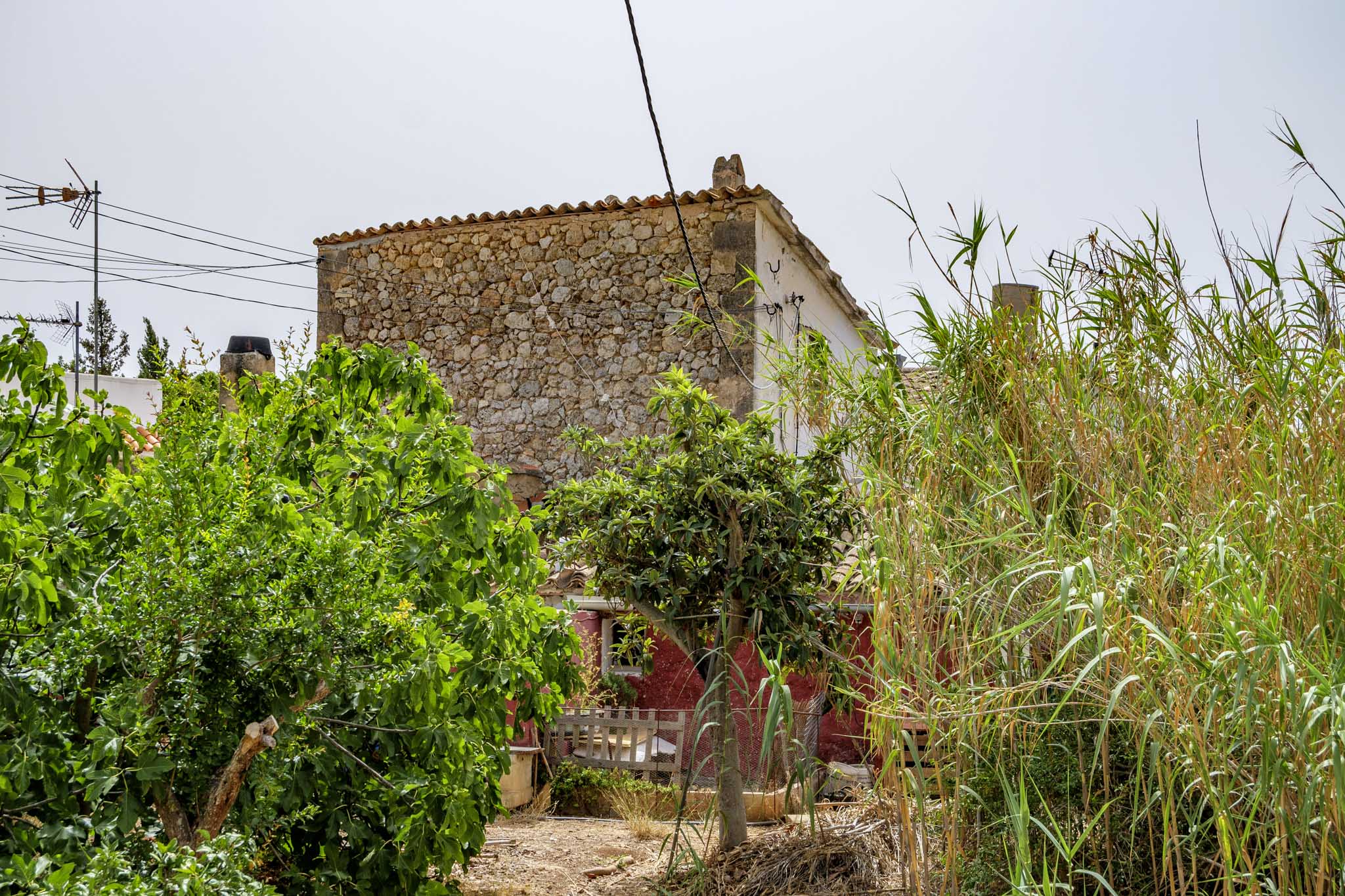El Galambre