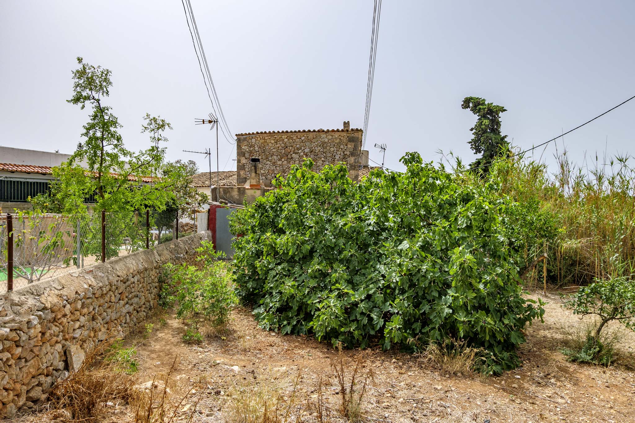 El Galambre