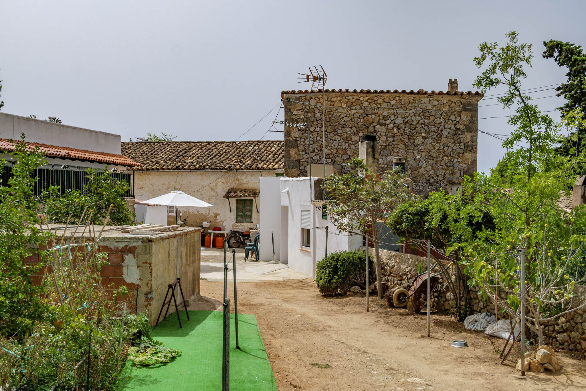 El Galambre