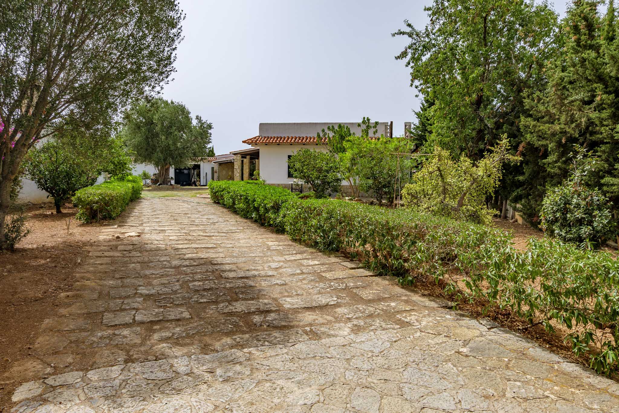 El Galambre