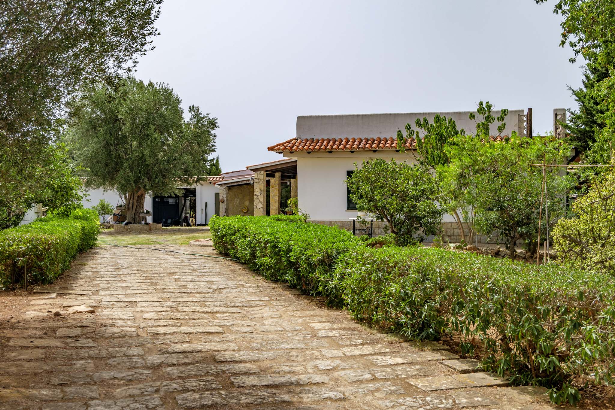 El Galambre