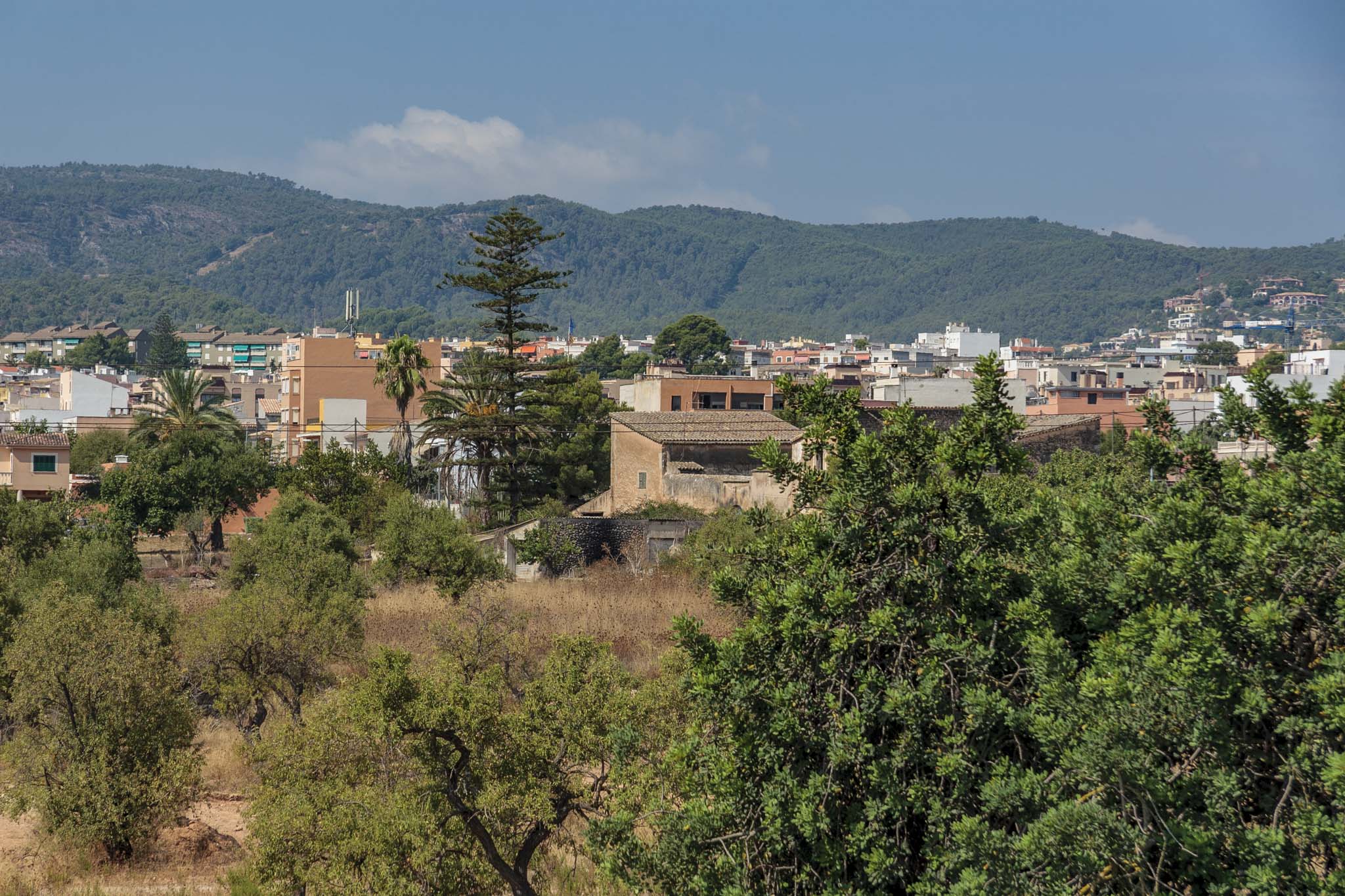 Son Santiscle, El Rafal