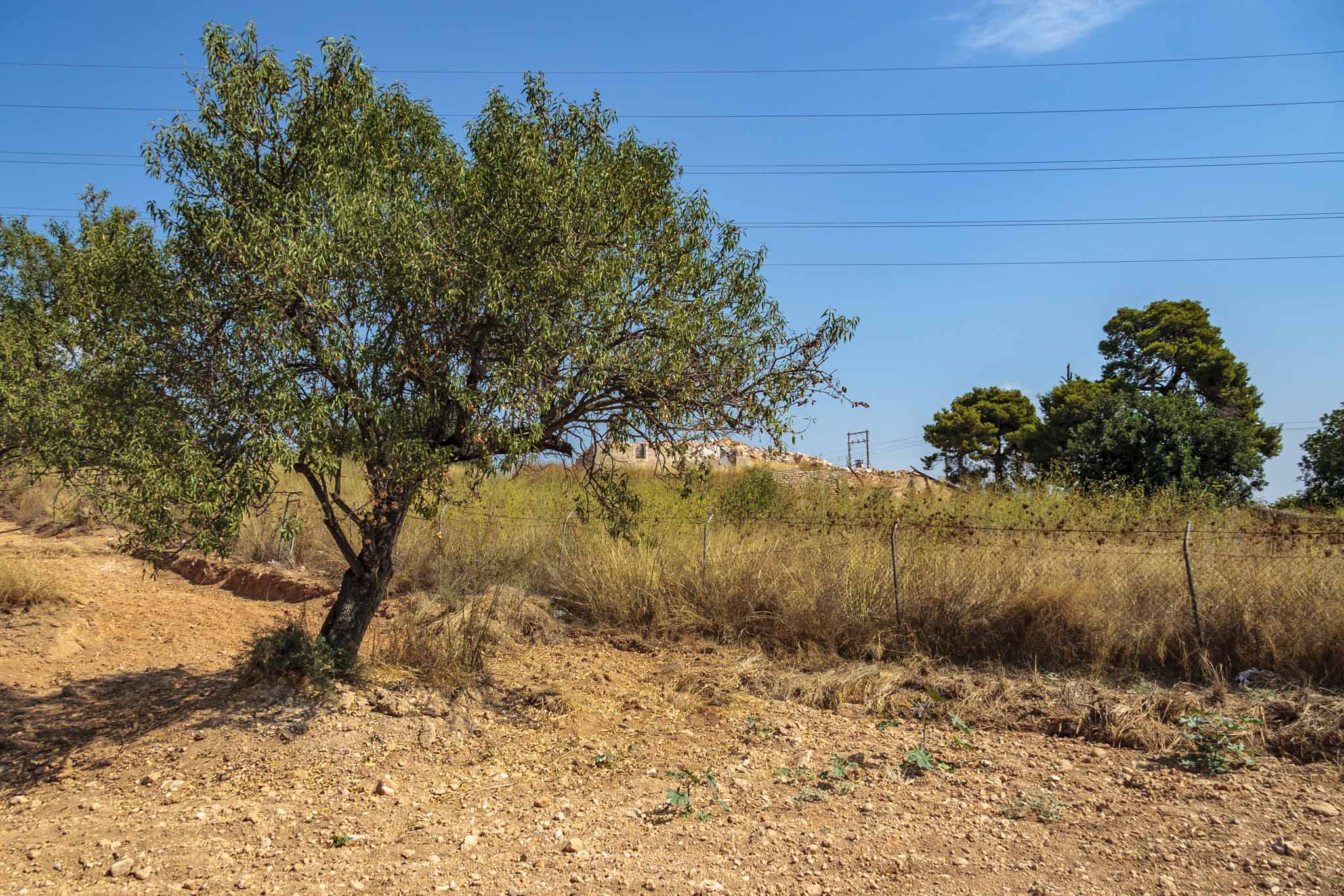 Son Santiscle, El Rafal