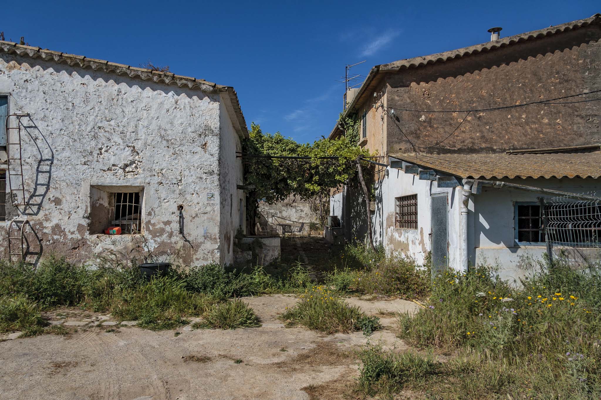 Cal Pastor, Can Toni de Jesús, Cals Pastors
