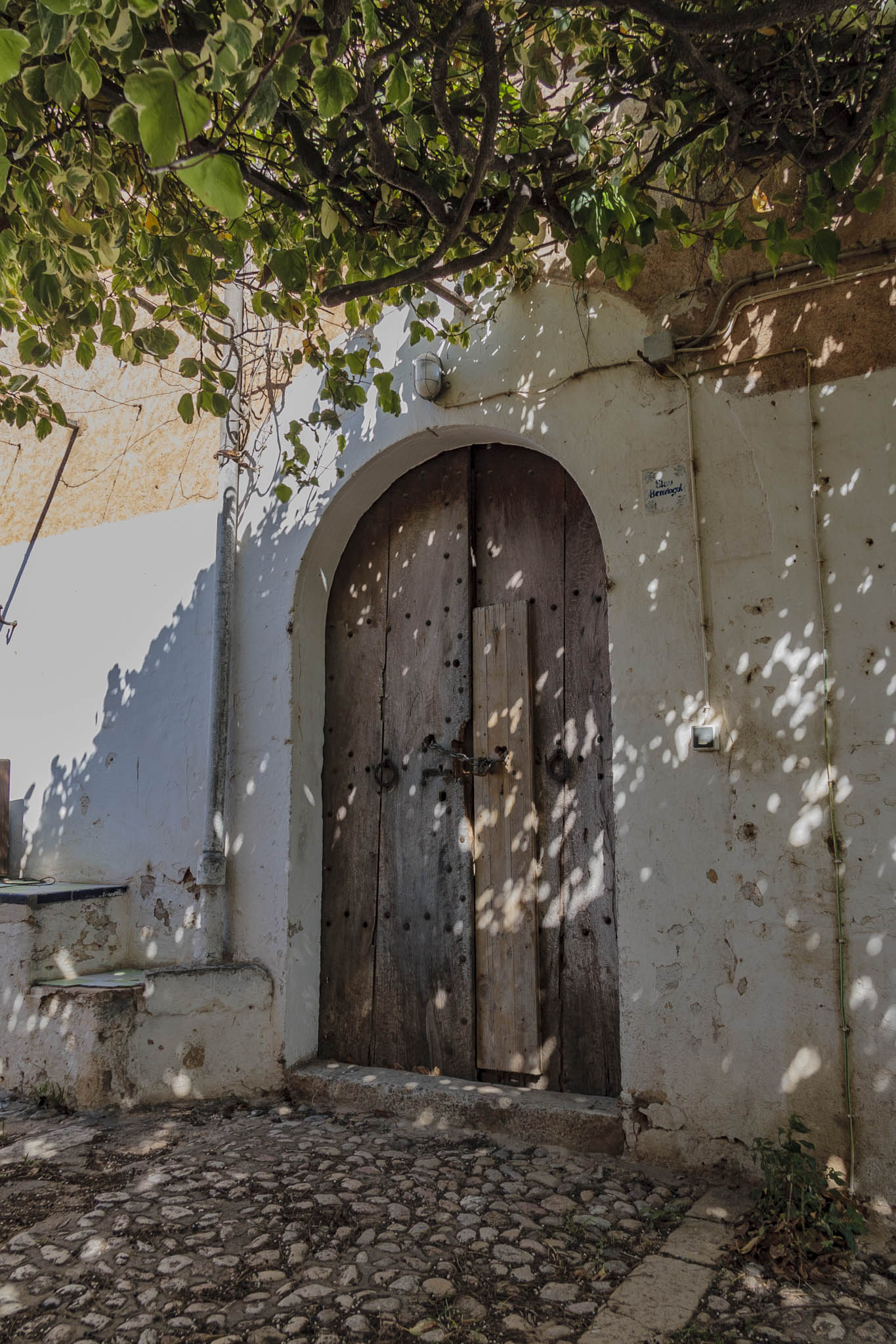 Cal Pastor, Can Toni de Jesús, Cals Pastors