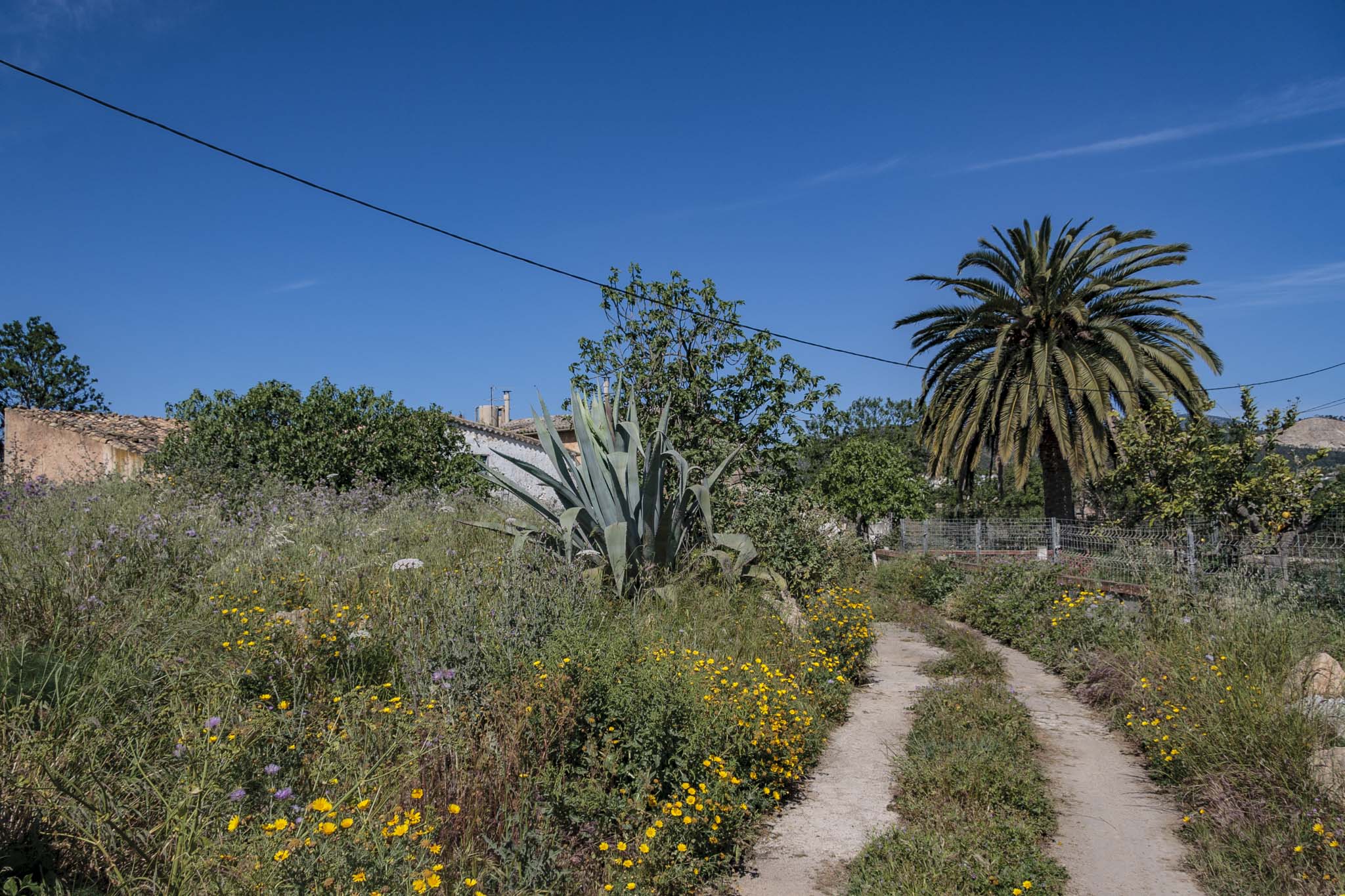 Cal Pastor, Can Toni de Jesús, Cals Pastors