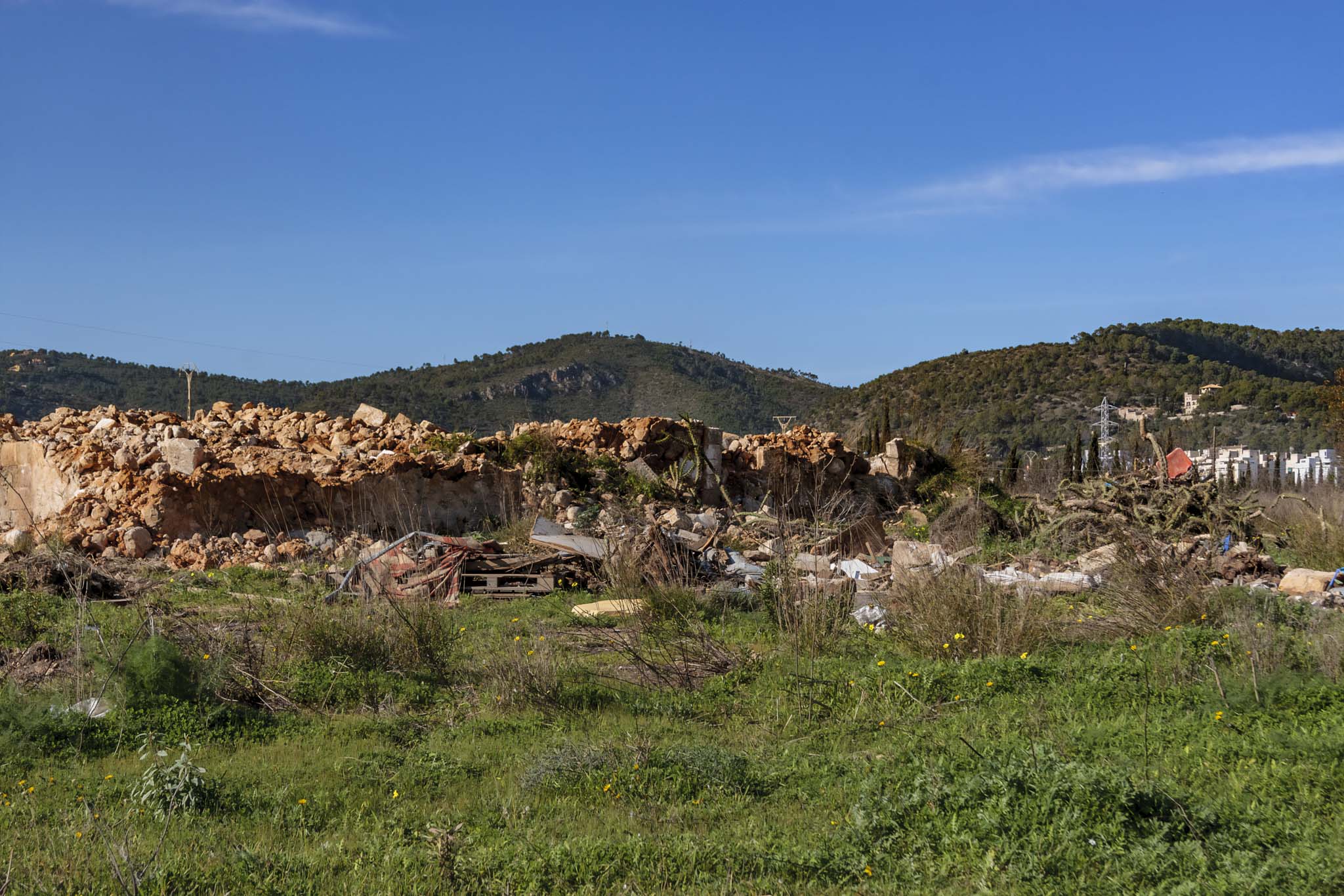 Son Seguí, Can Palou
