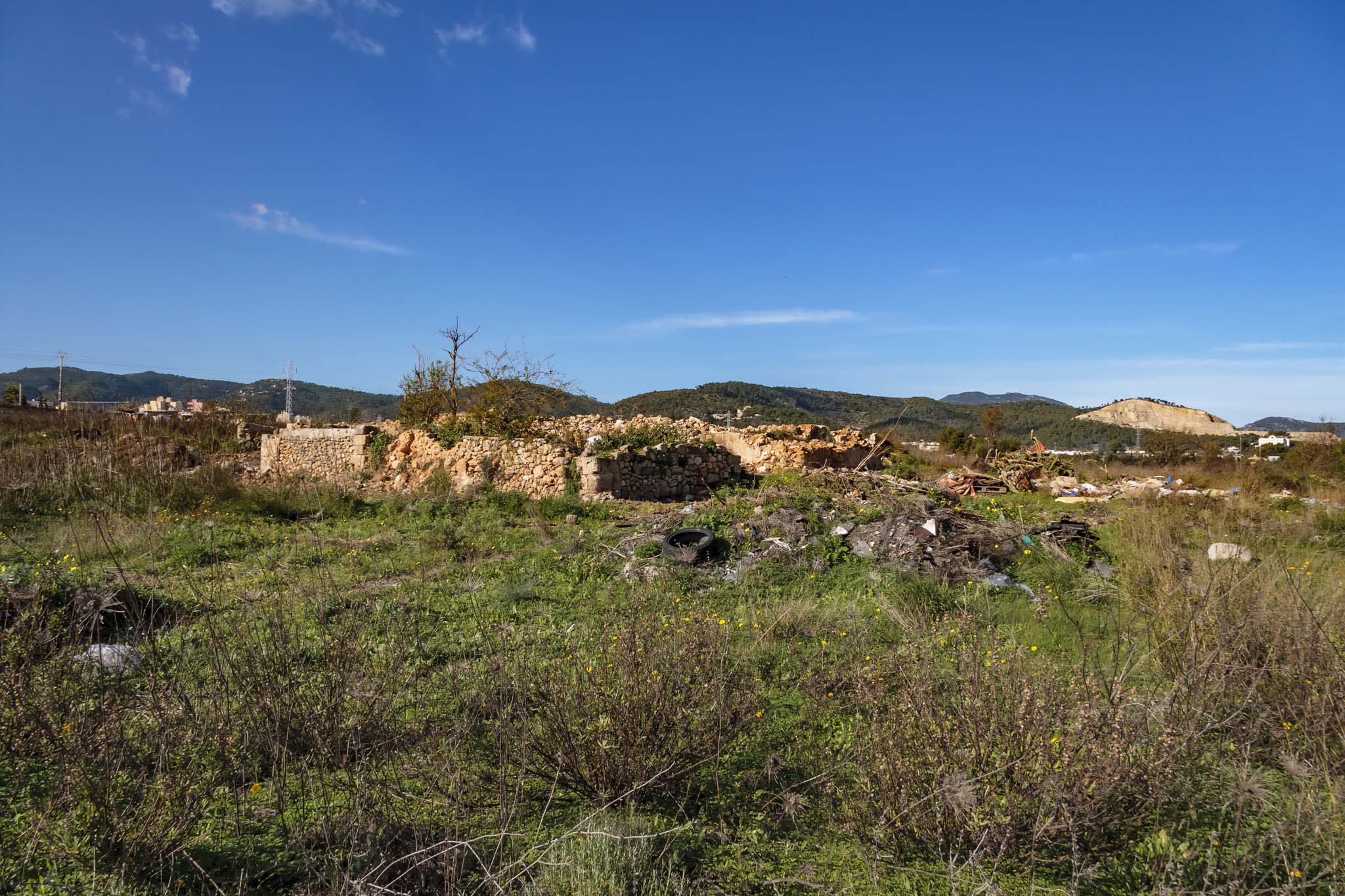 Son Seguí, Can Palou