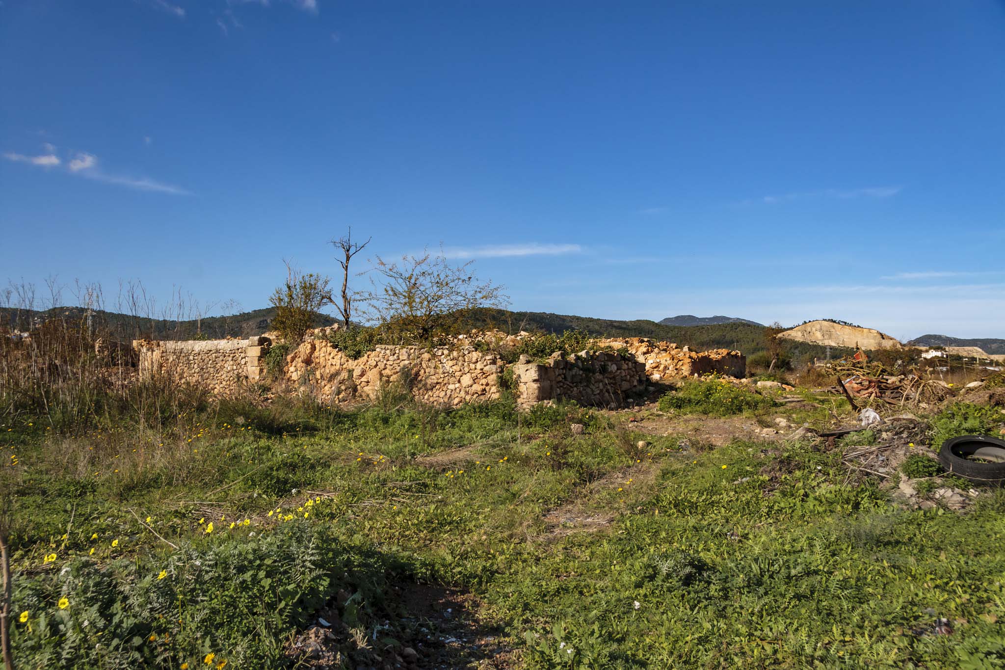 Son Seguí, Can Palou