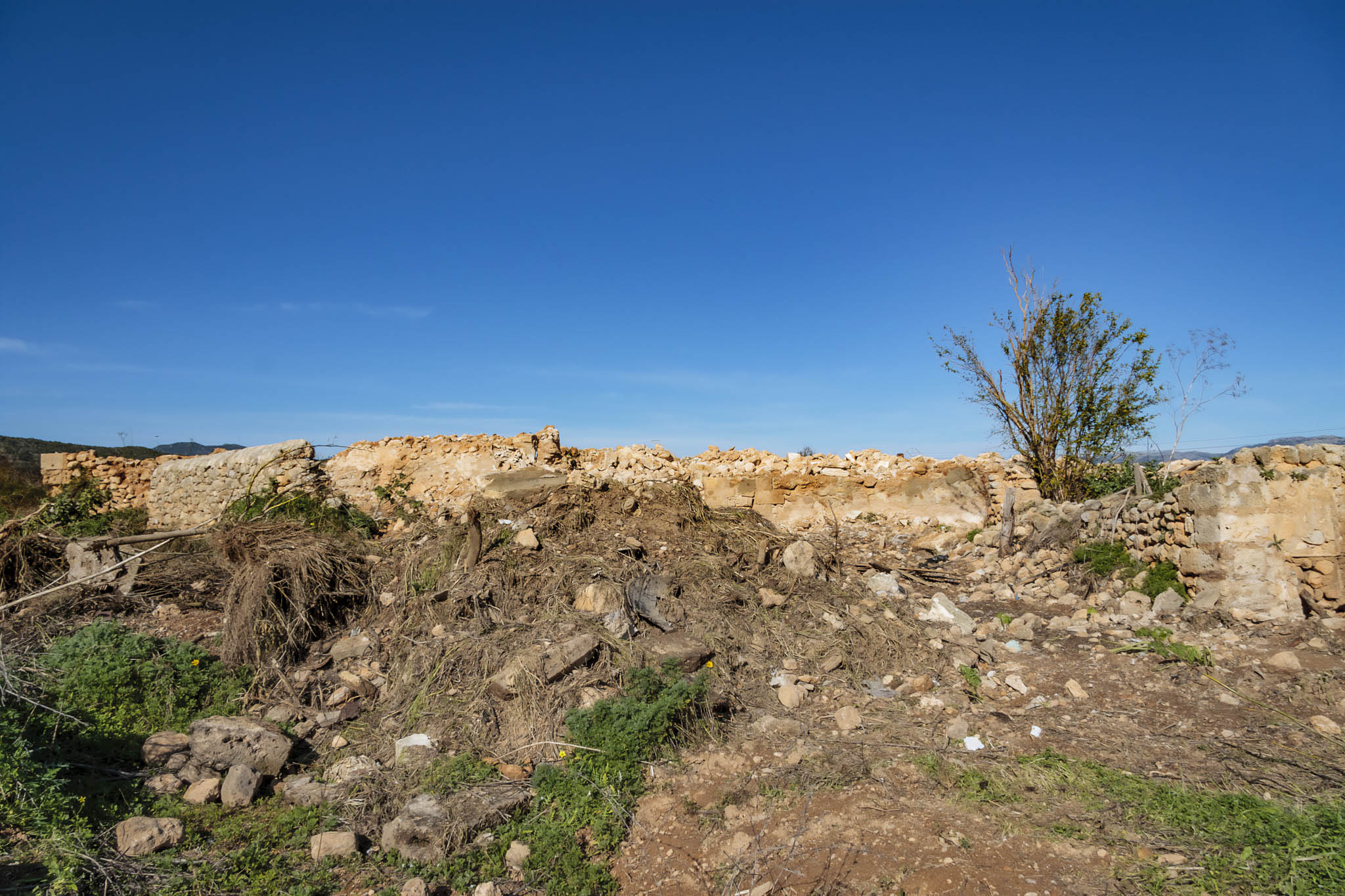 Son Seguí, Can Palou