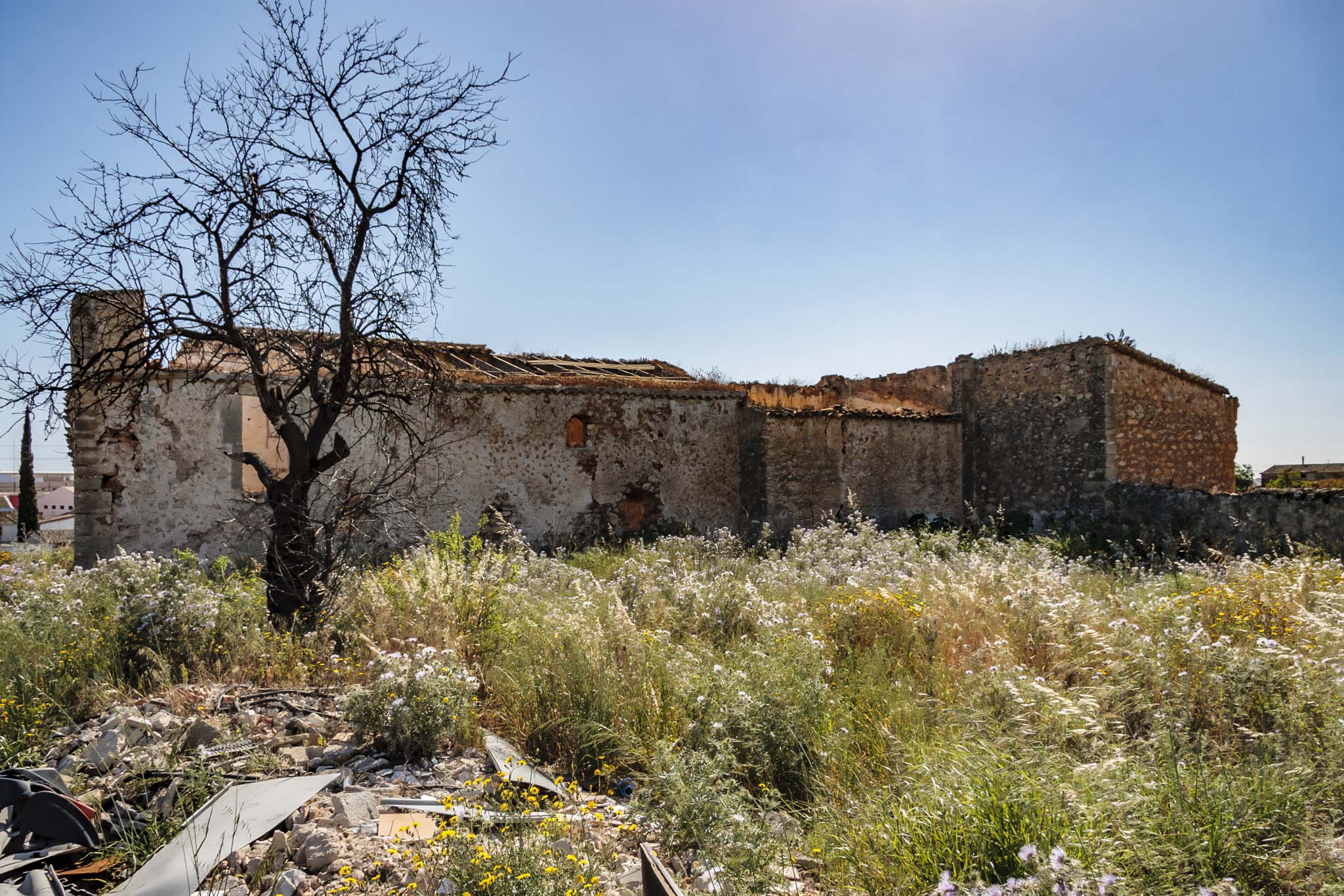 Can Colombàs, Can Palou, les Cases Noves d'en Mora