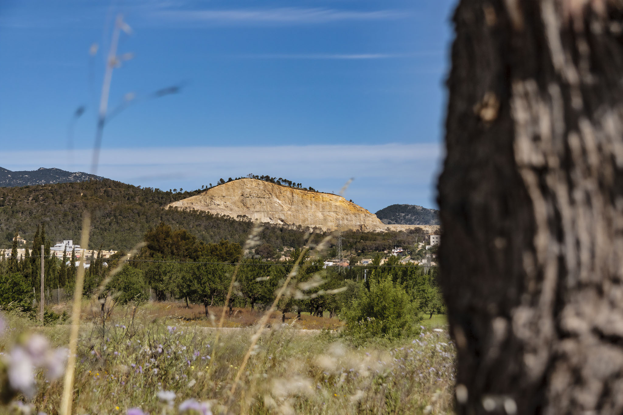 Can Colombàs, Can Palou, les Cases Noves d'en Mora